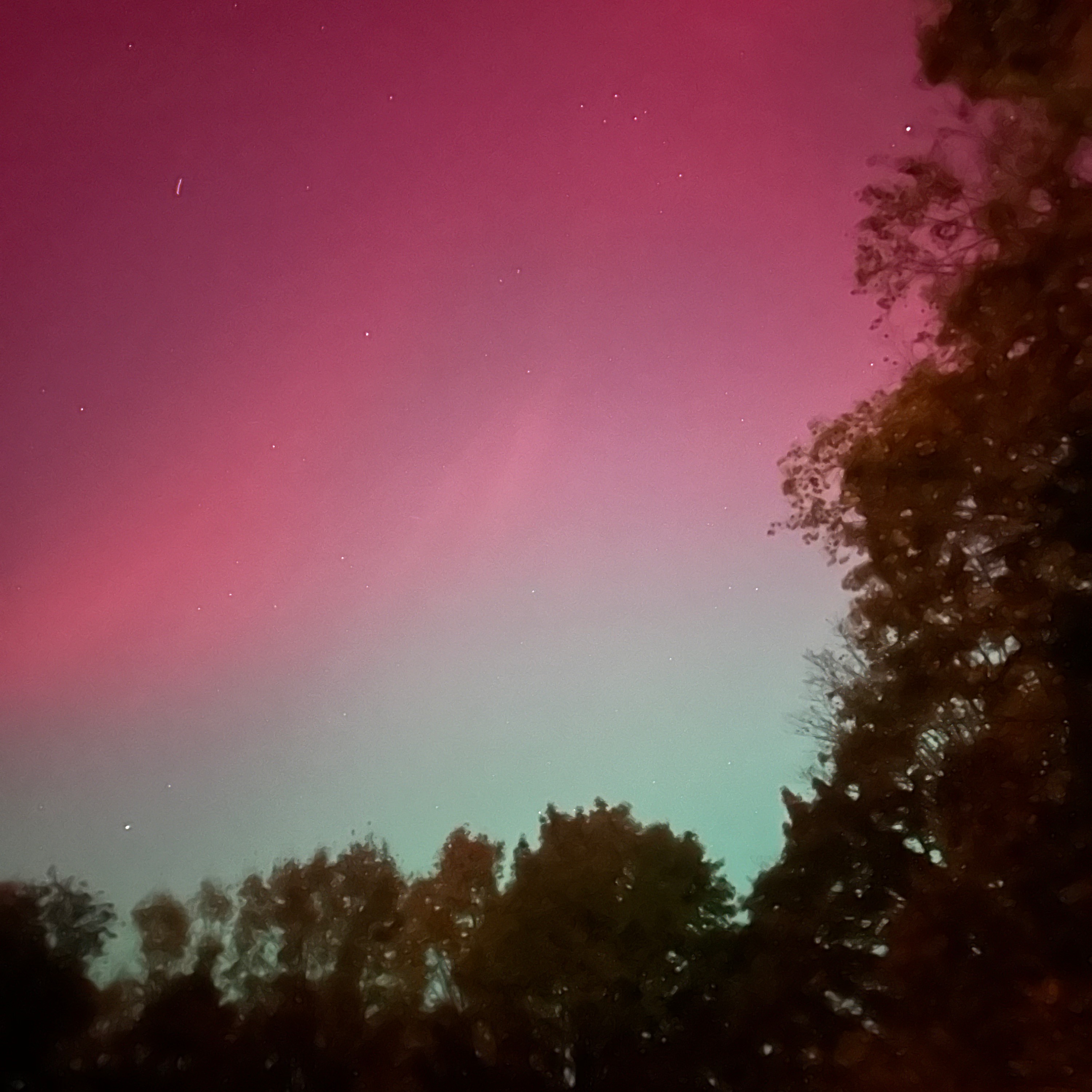 IETEVOLVE Everyday Earthing & Energy Wisdom