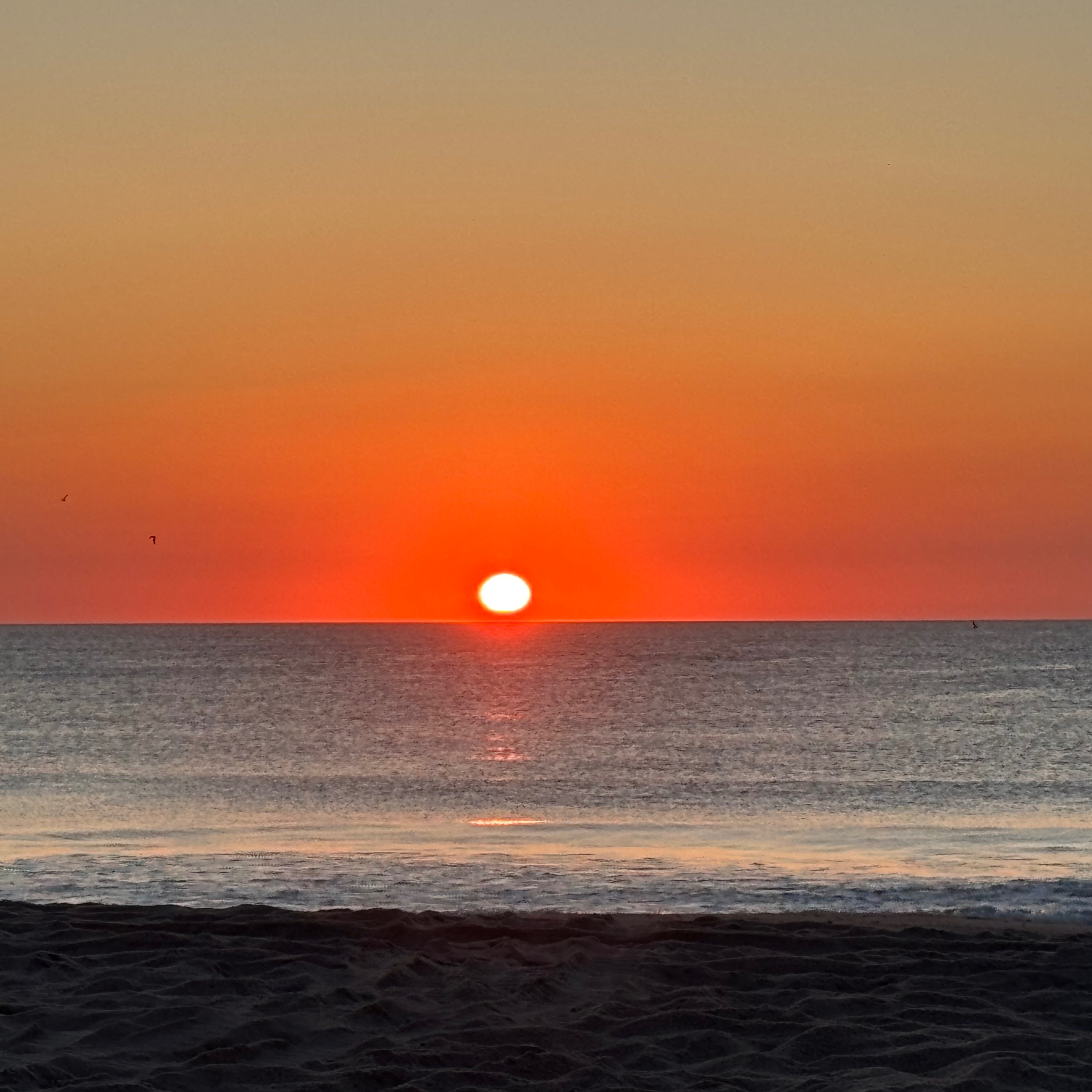 IETEVOLVE Everyday Earthing & Energy Wisdom