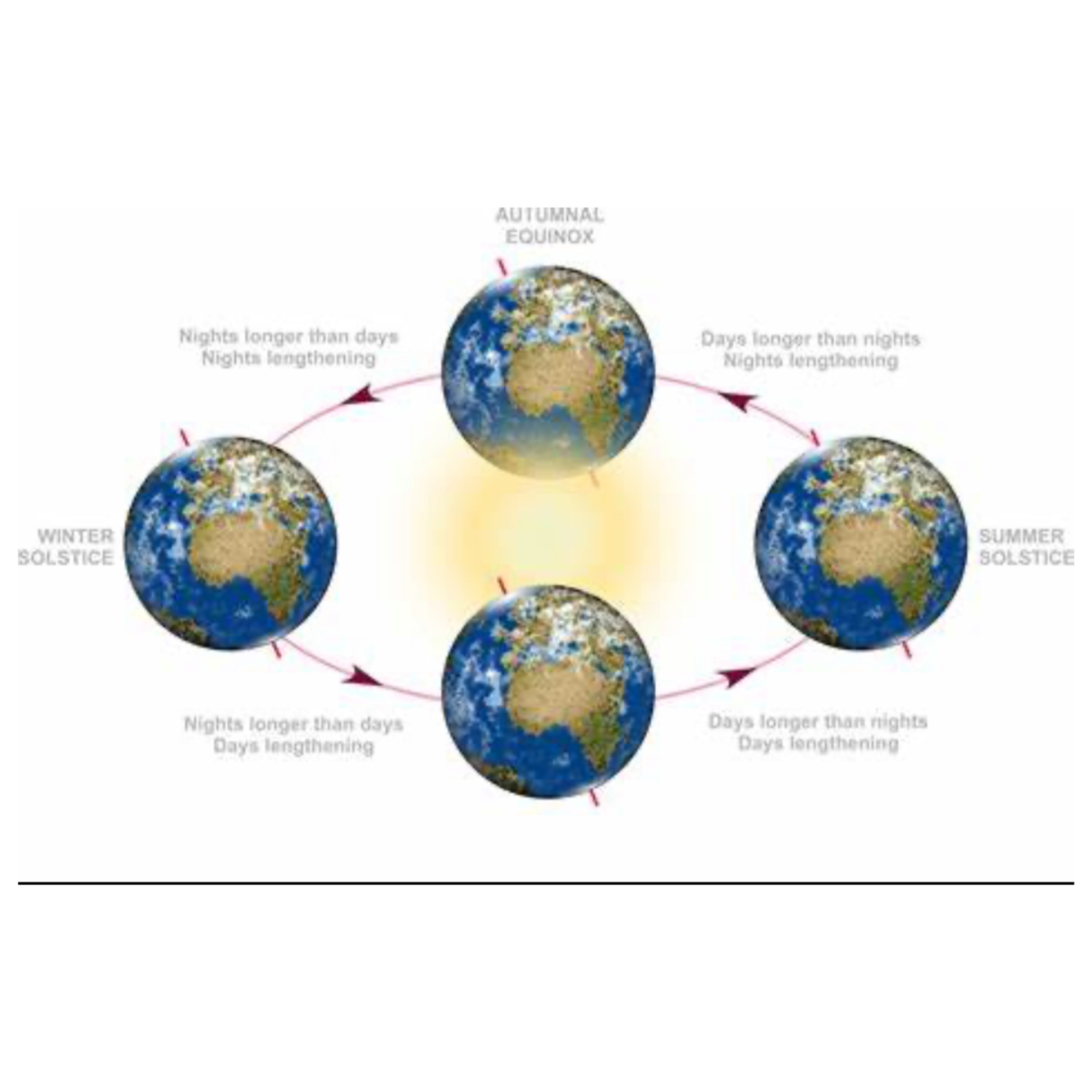 IETEVOLVE Everyday Earthing & Energy Wisdom