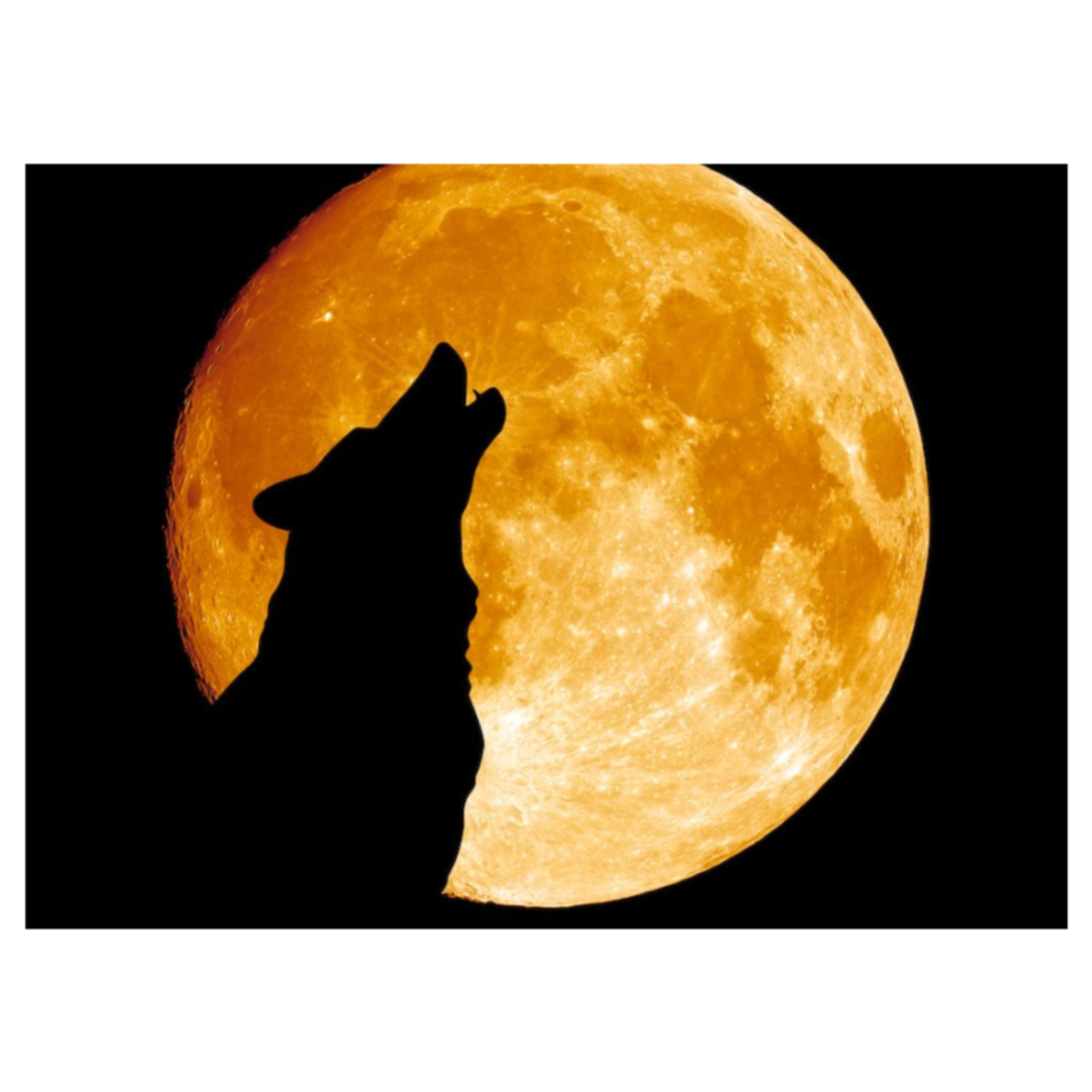 December 31, 2025 Morning Reflection-Schumann Alignment & M 7.1 Flare, Solar Wind Increasing and G1-G2 Storming to Enhance the 2025-2026 Transition