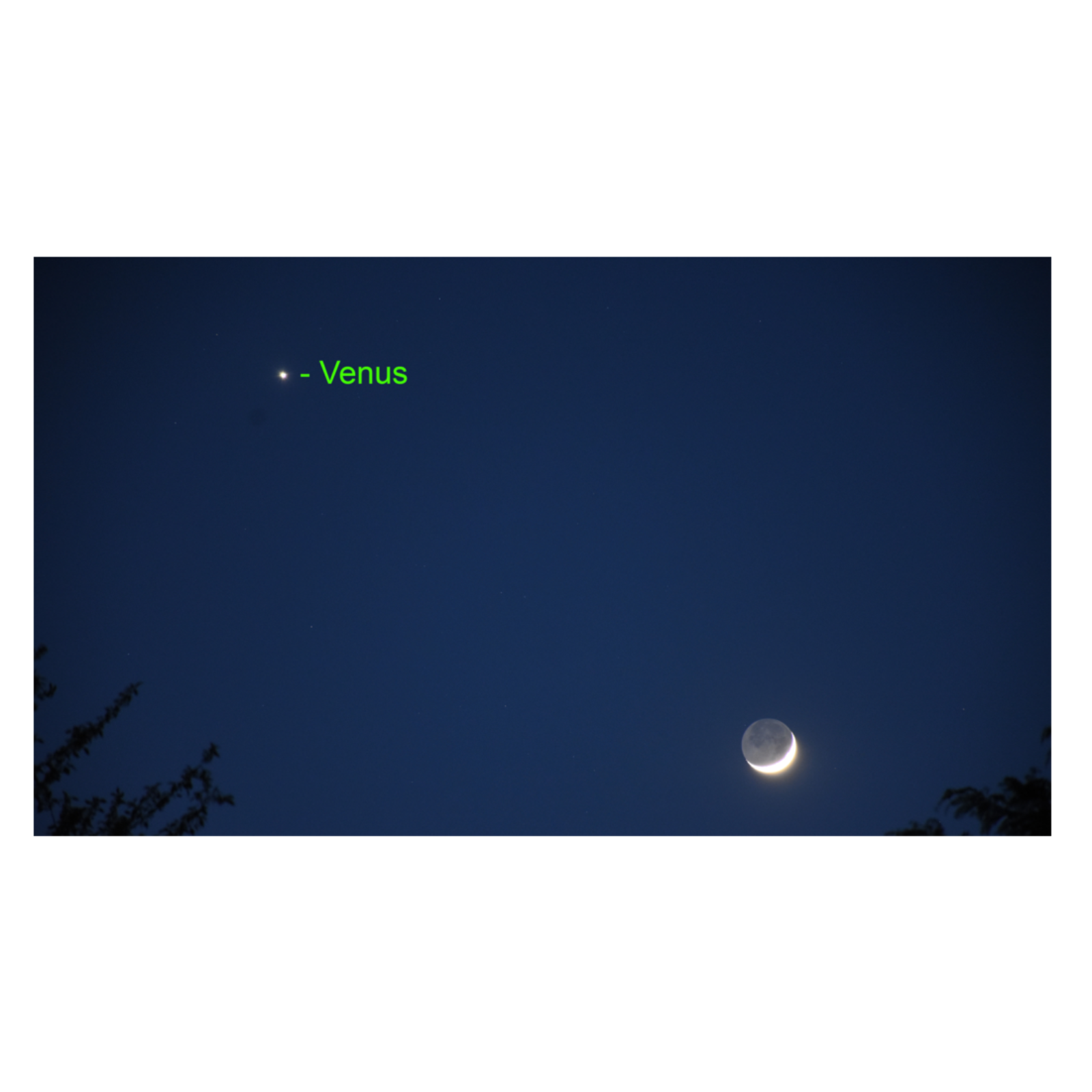 January 6, 2026 Schumann Takes an Overnight Exhale and Venus Superior Conjunction