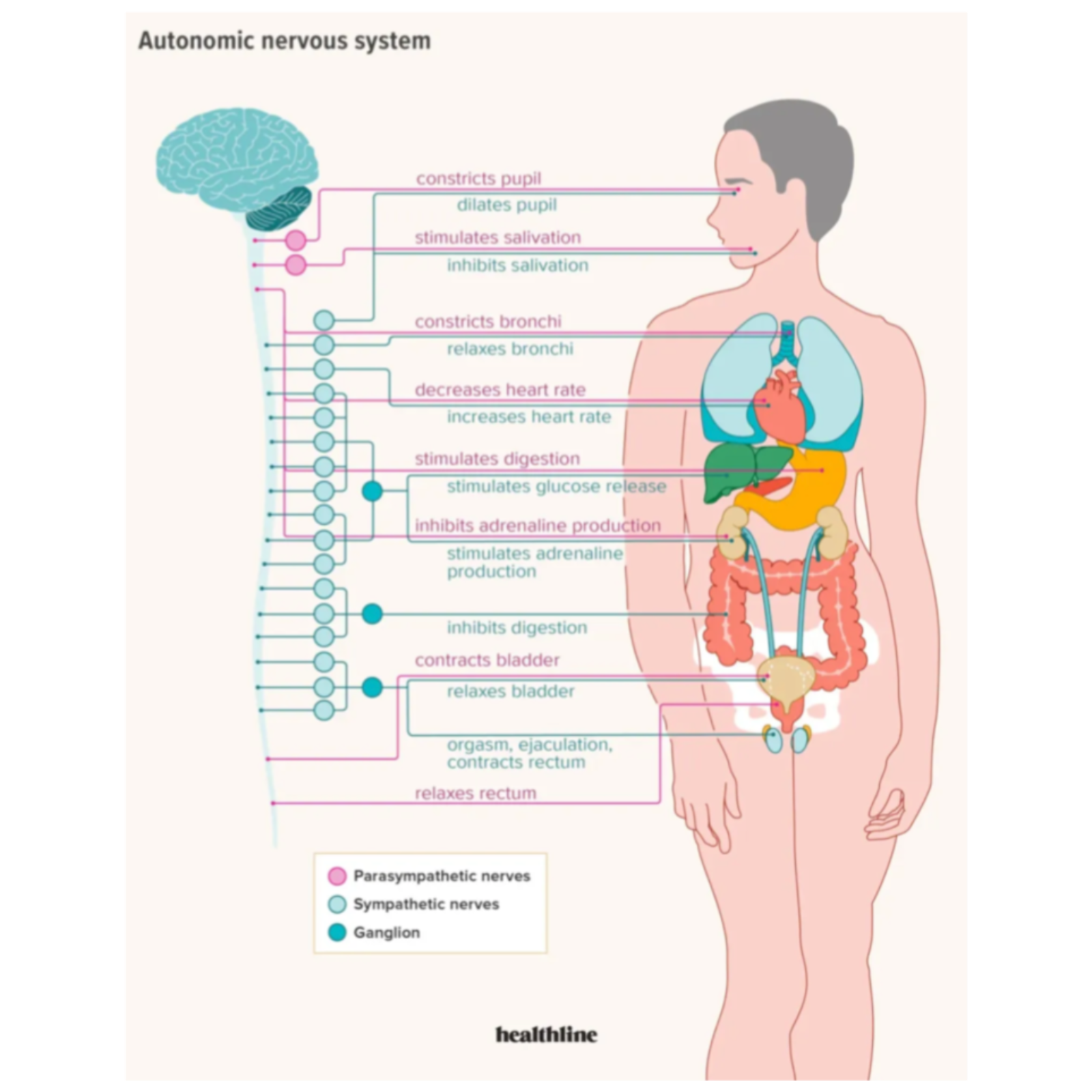 February 16, 2026 Beyond the Limb M Class Flare, Steady Schumann Banding and Moderate to High Solar Wind