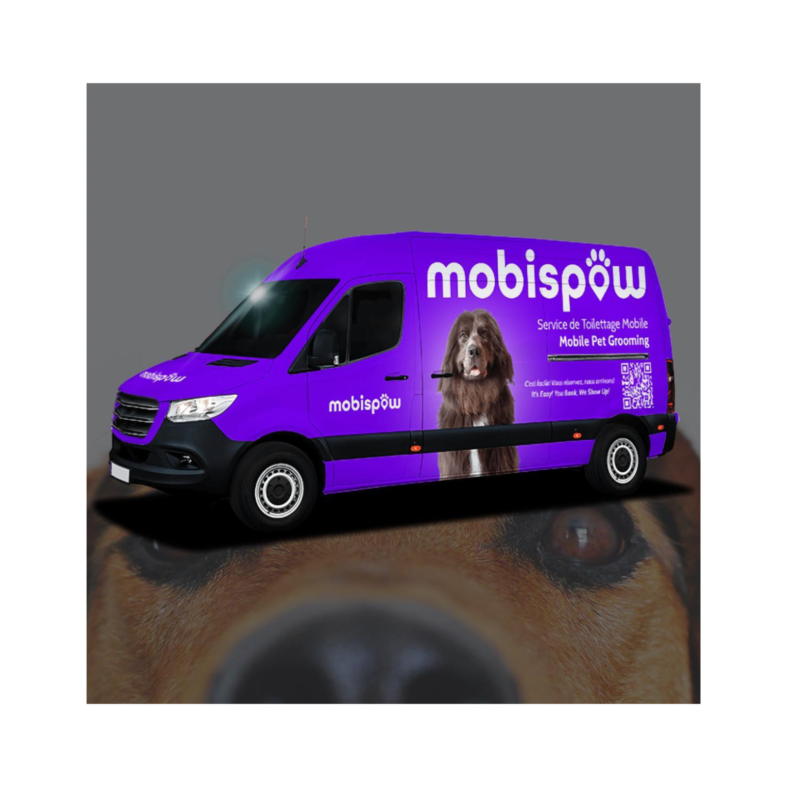 Building MobiSpaw: A Startup Founder’s Journey