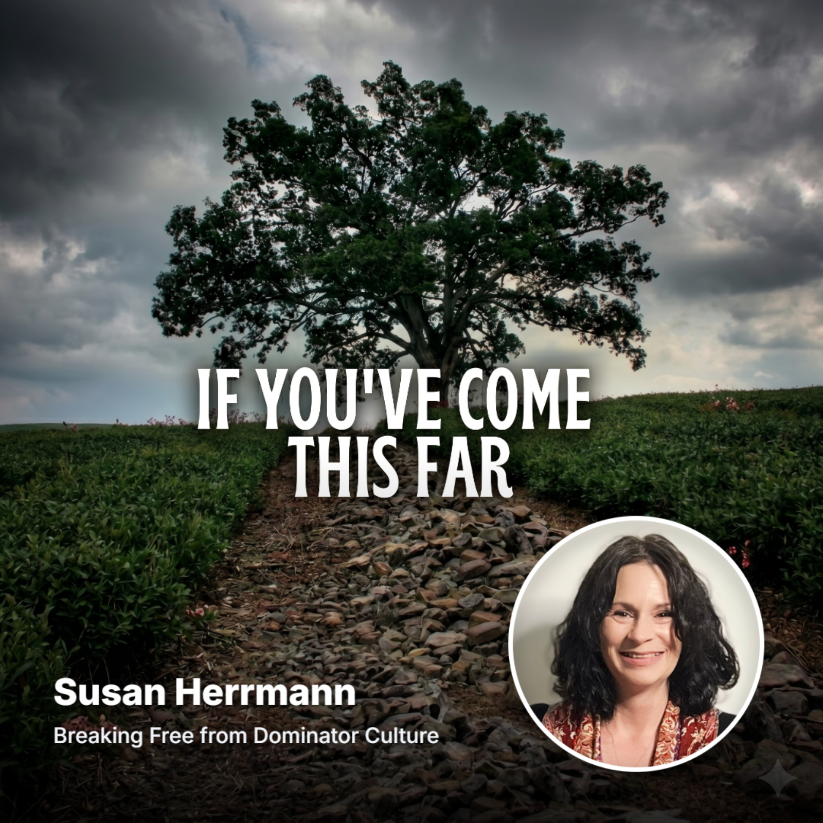 Susan Herrmann...Breaking Free from Dominator Culture