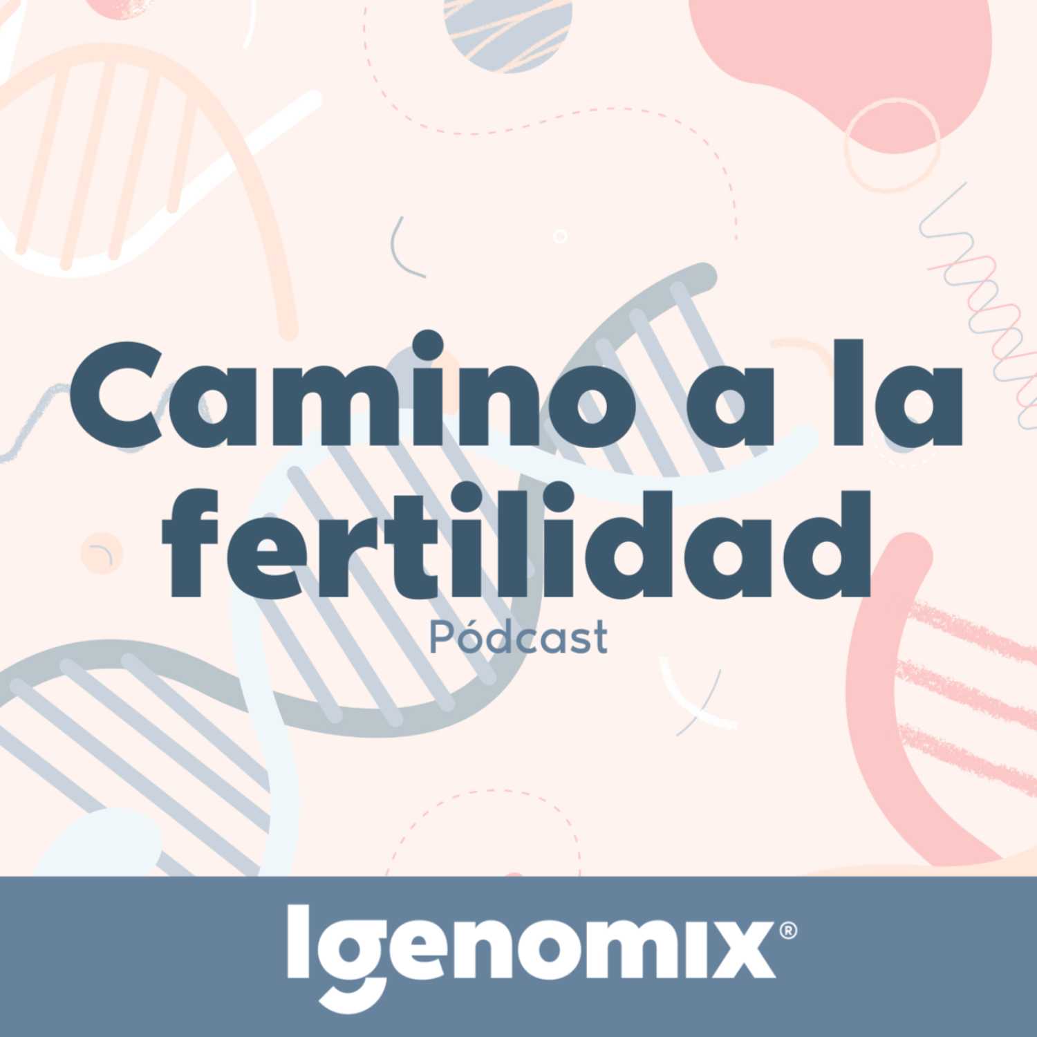 Camino a la fertilidad - Igenomix