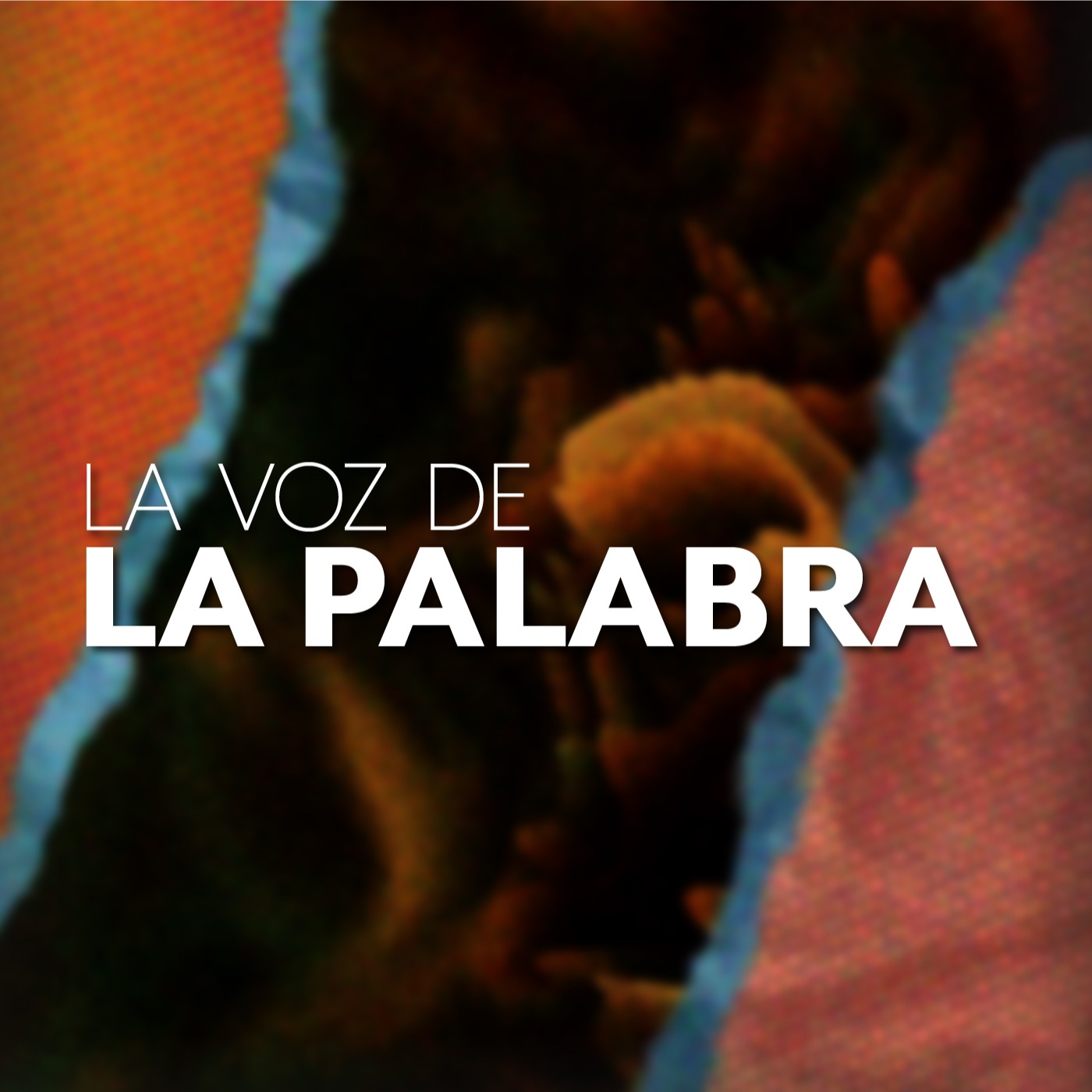 LA VOZ DE LA PALABRA