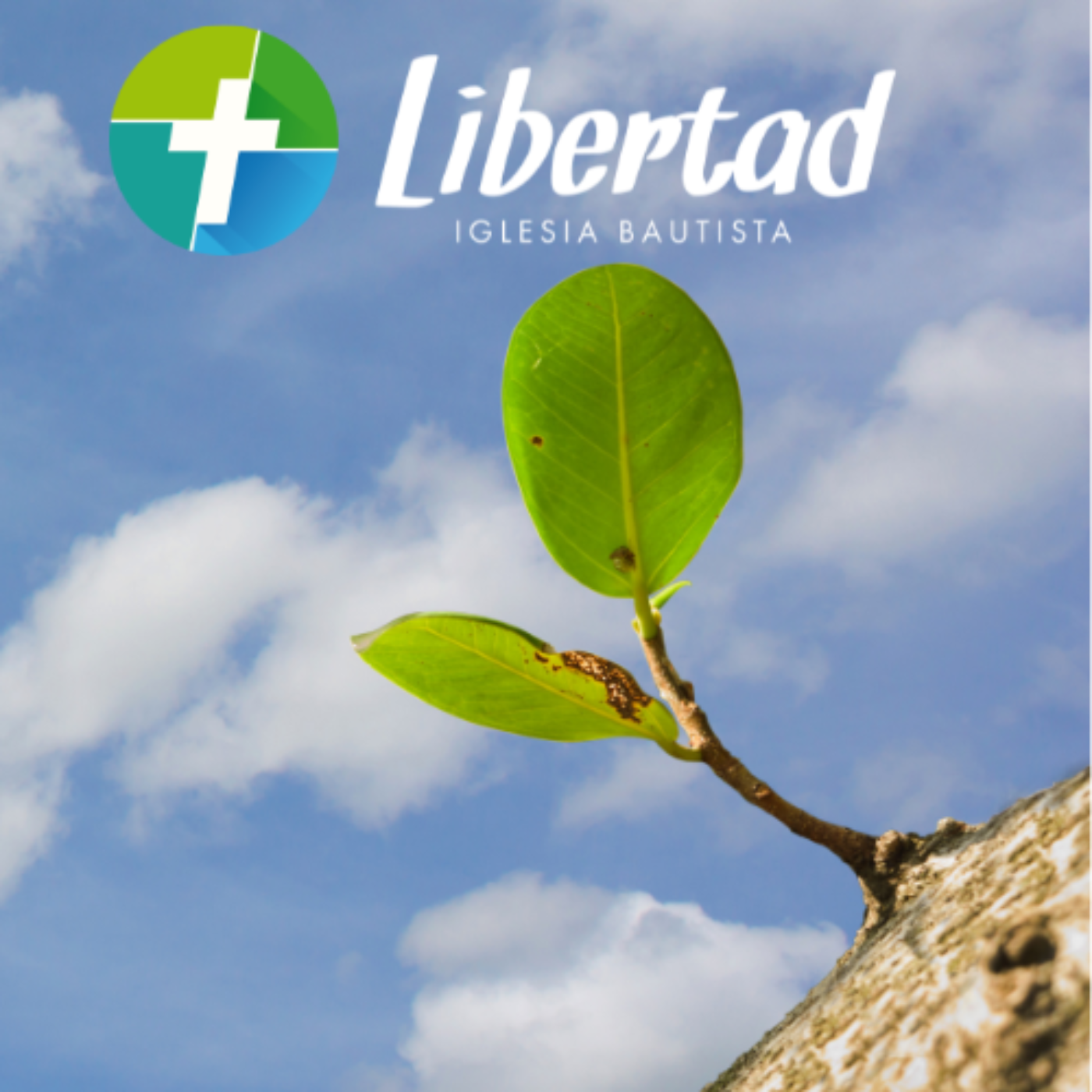 Iglesia Bautista Libertad