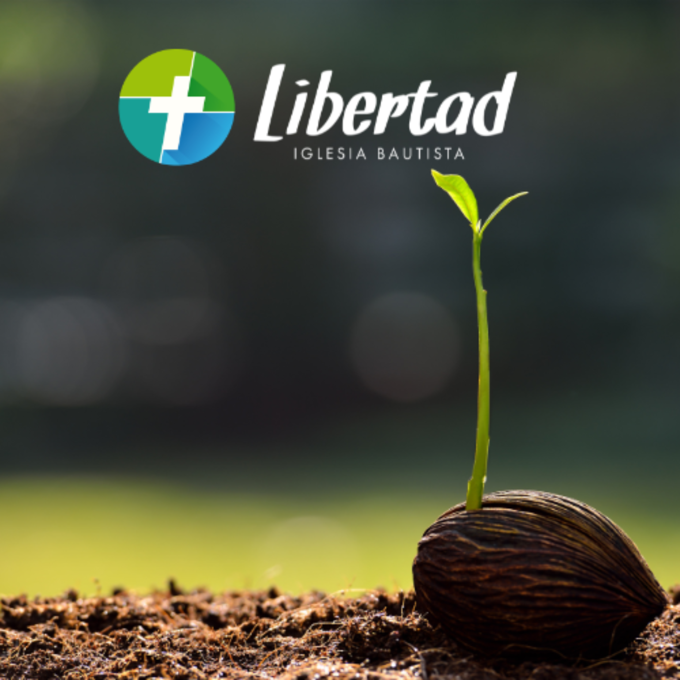 Iglesia Bautista Libertad