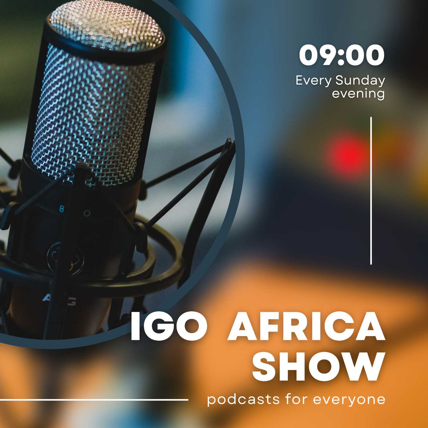 iGo Africa Show cover art