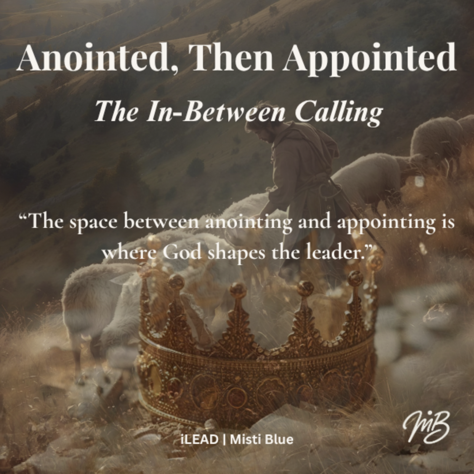 Suspended to Settled: Anointed, Then Appointed: The In-Between - David Ep. 4