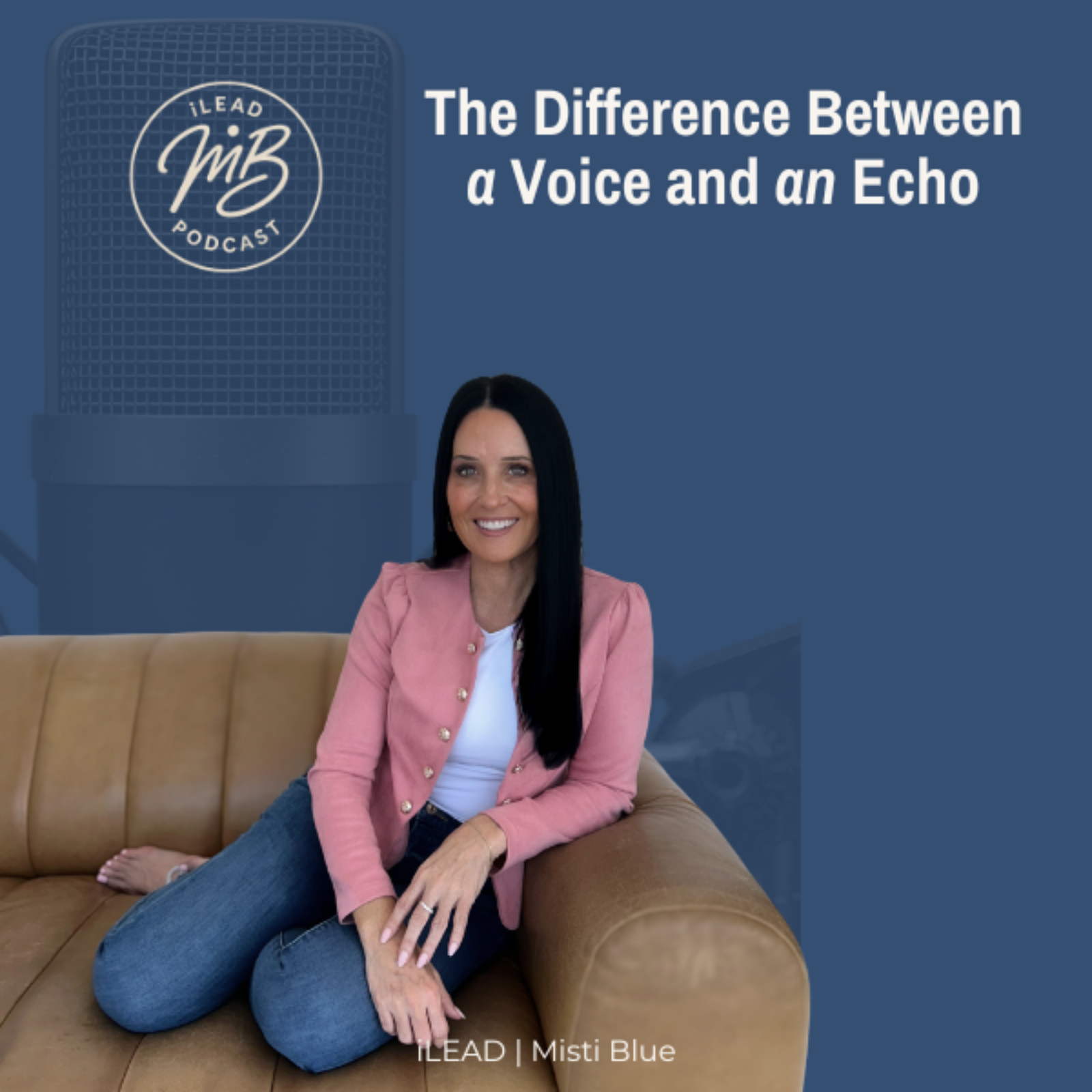 The Difference Between a Voice and an Echo episode artwork