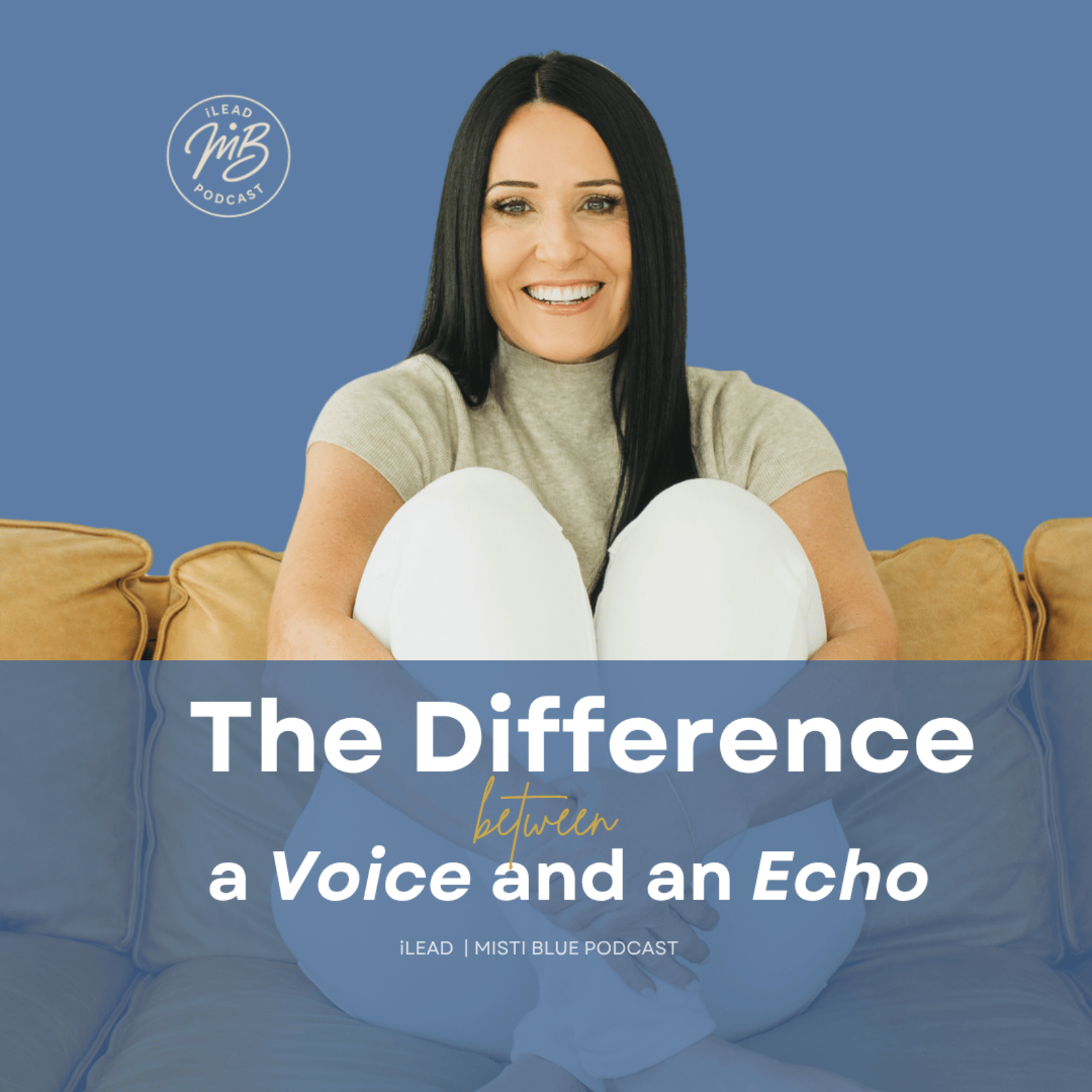 The Difference Between a Voice and an Echo episode artwork