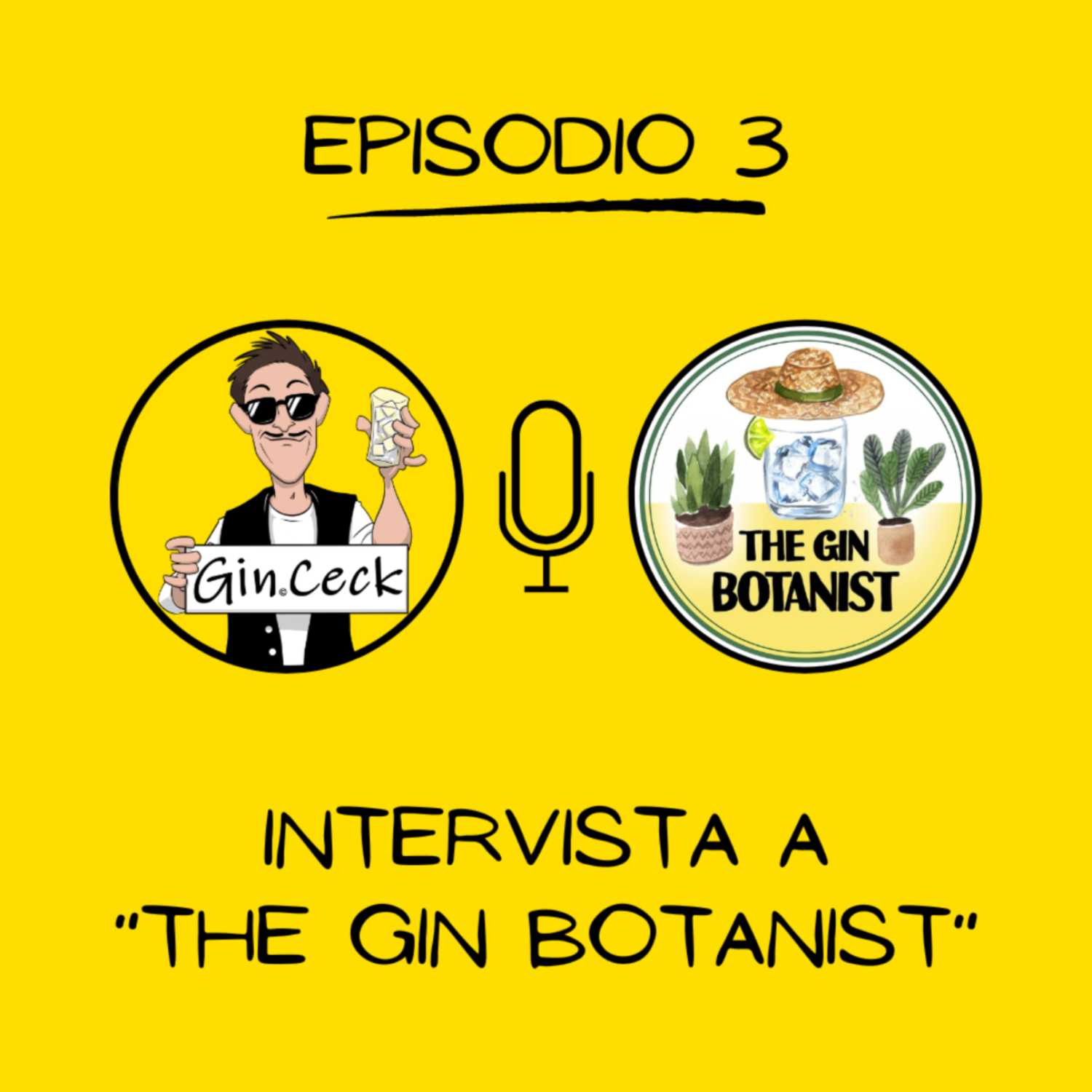 Il salotto del Gin