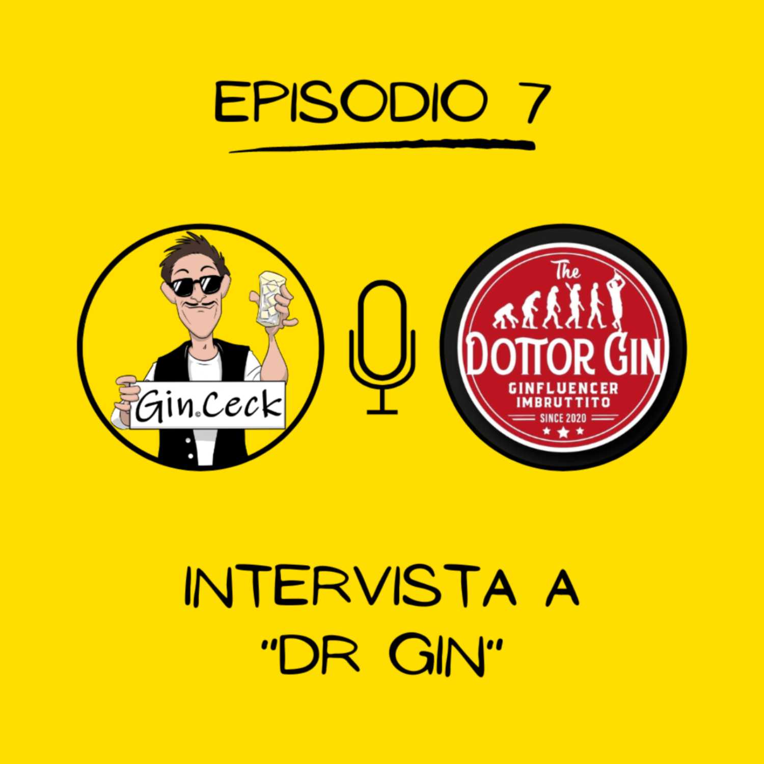 Il salotto del Gin