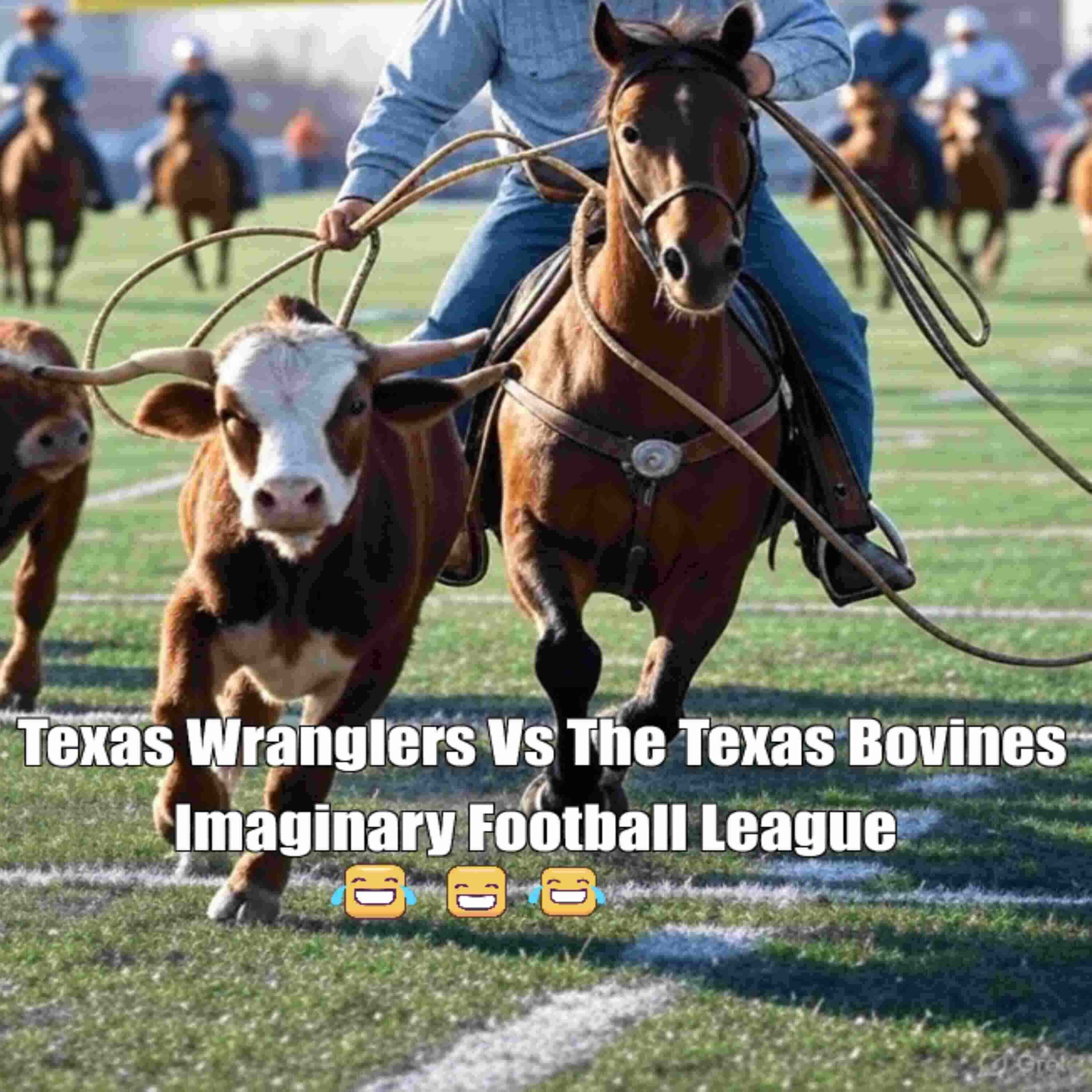 Texas Wranglers vs. The Texas Bovine Beeves  episode artwork