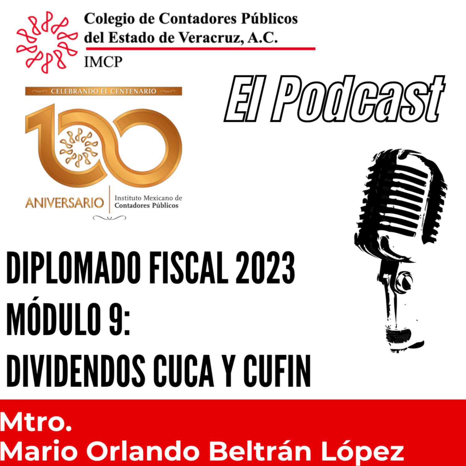 Colegio de Contadores Públicos del Estado de Veracruz