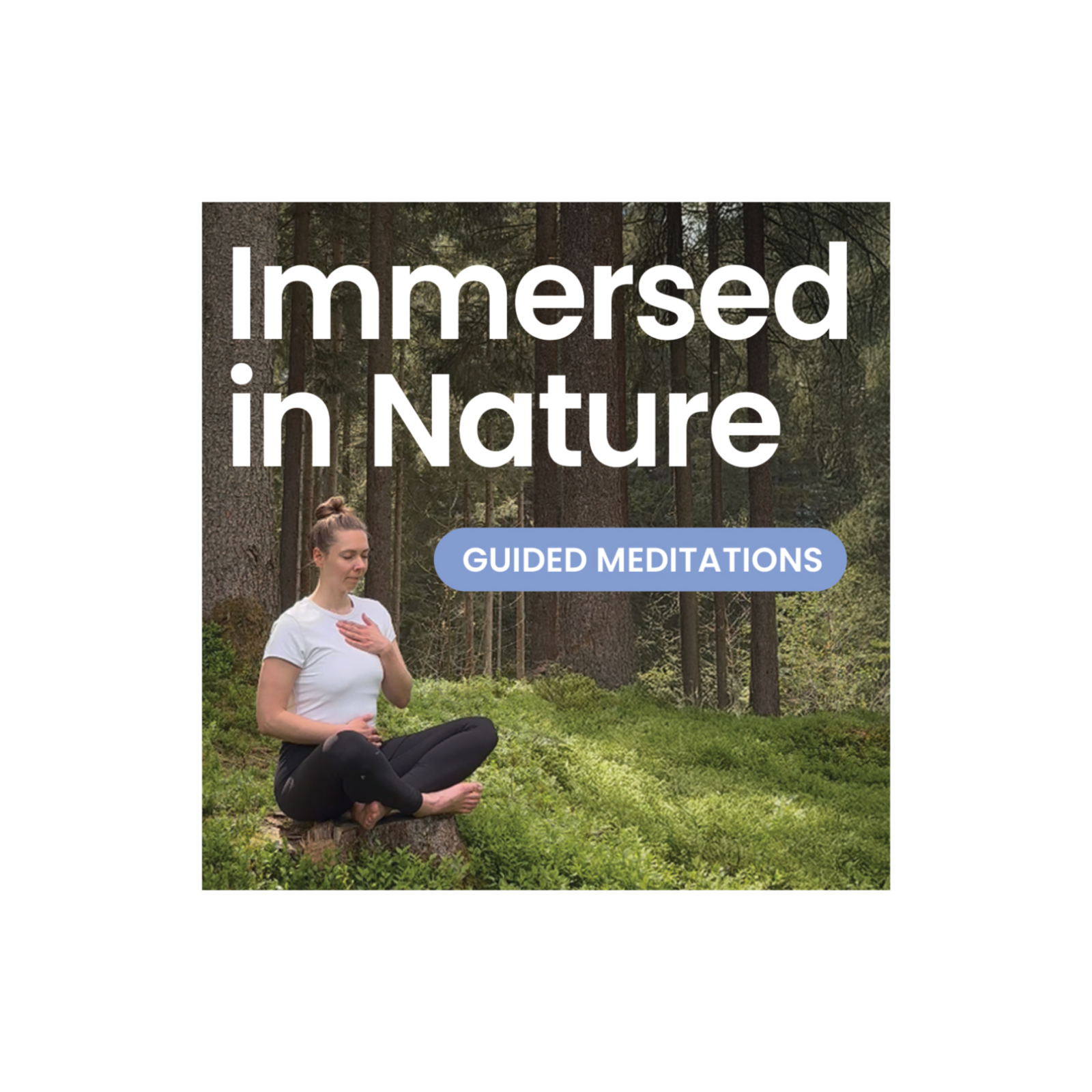 Into: Immersed in Nature - Guided Meditations episode artwork