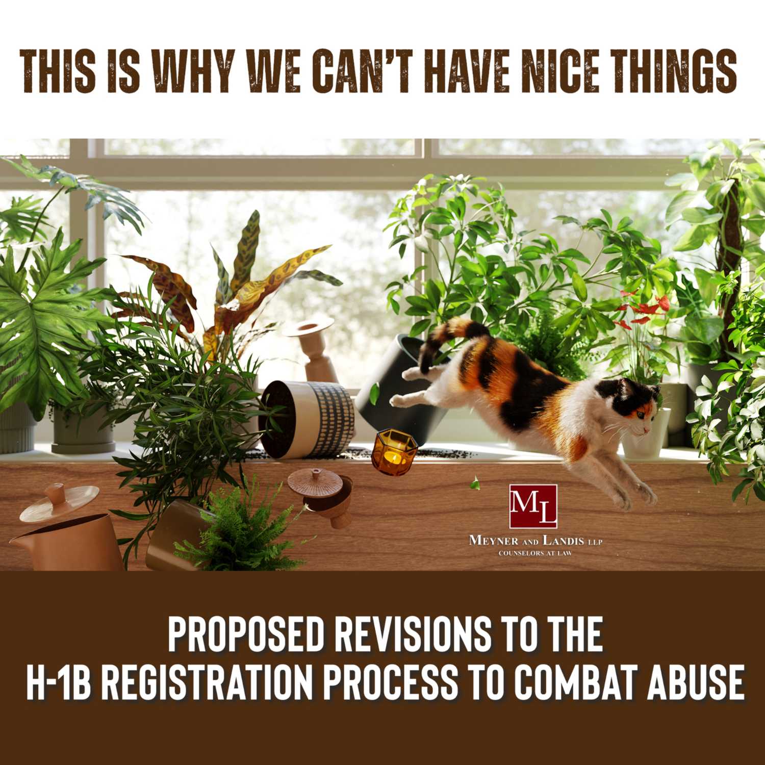 Why We Can't Have Nice Things: Multiple Petitions and The Gaming of the H-1B Lottery