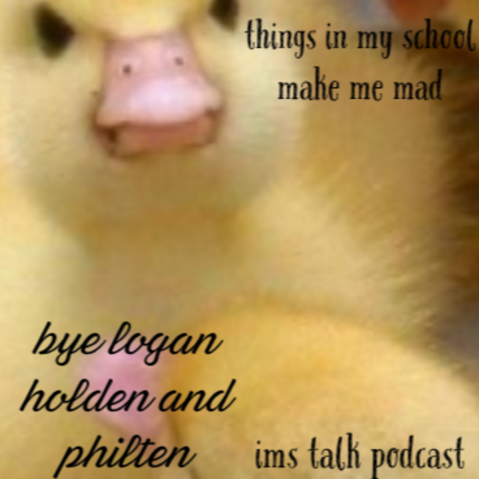 IMS TAlK
