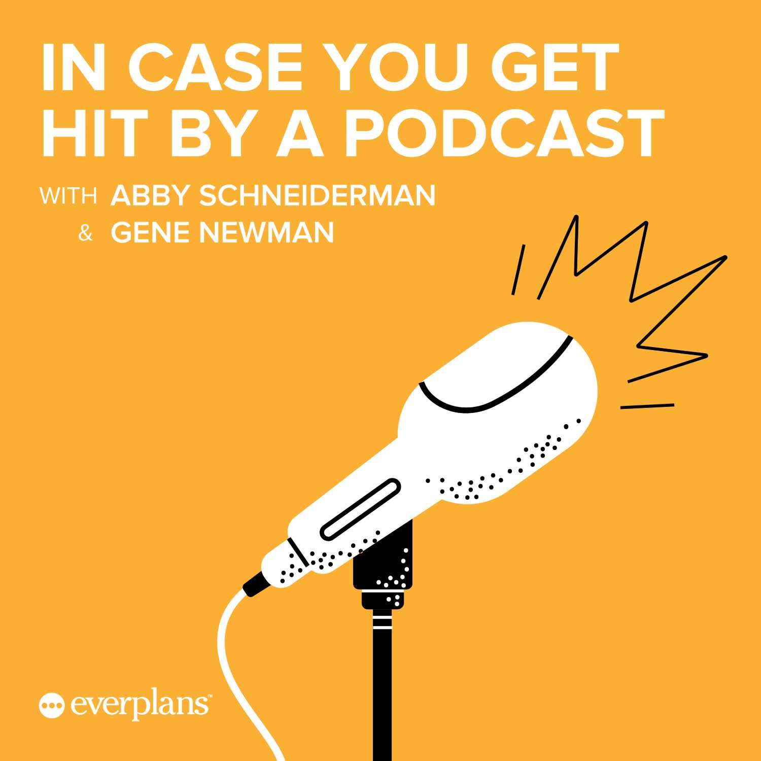 In Case You Get Hit By A Podcast
