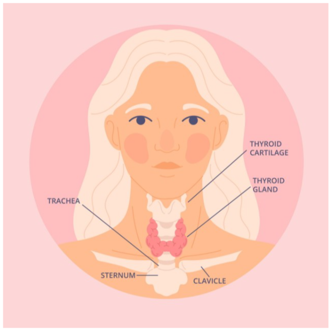 Getting My Throat Cut — A Calm Thyroidectomy Tale: My experience with thyroid removal on the NHS episode artwork