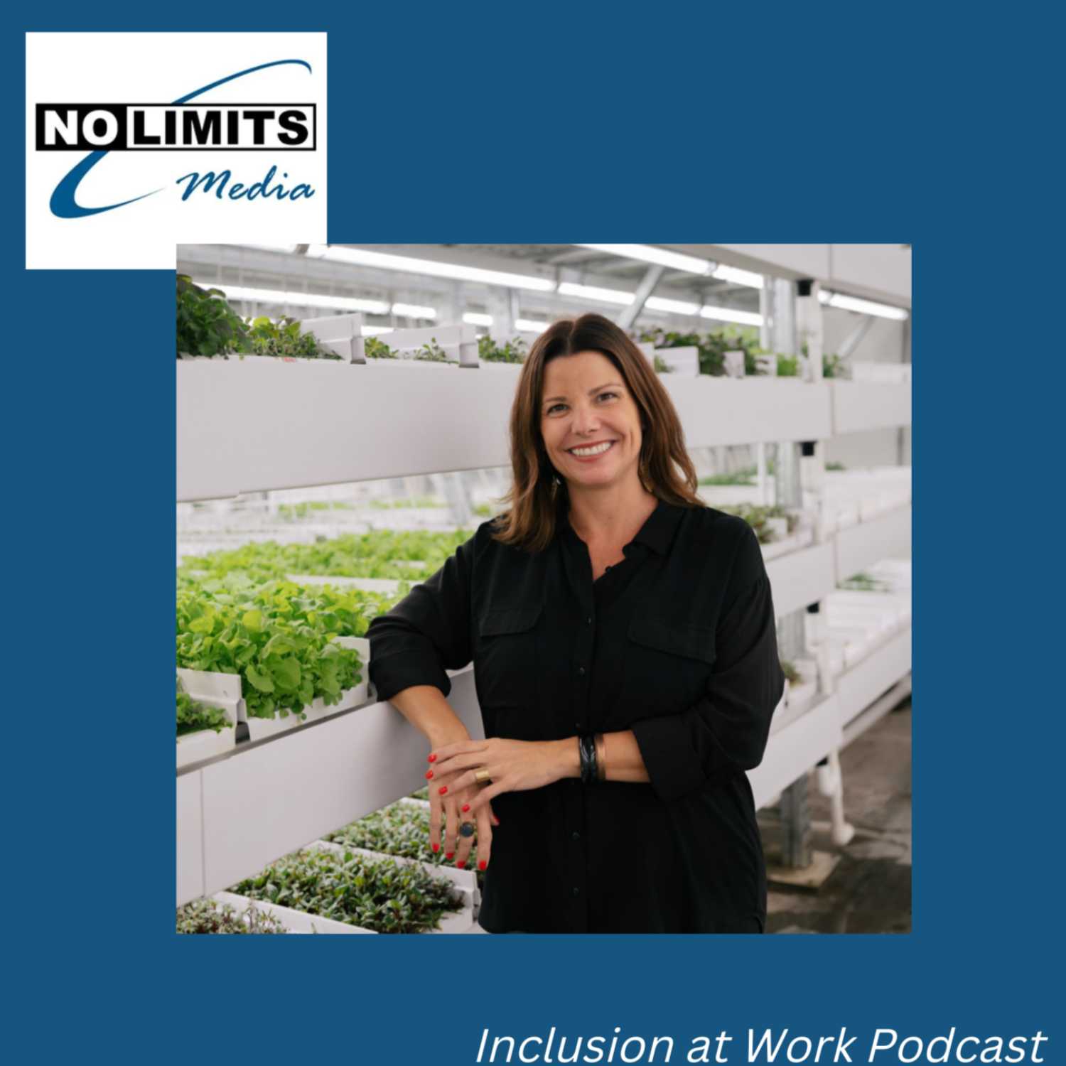 Inclusion at Work by No Limits Media