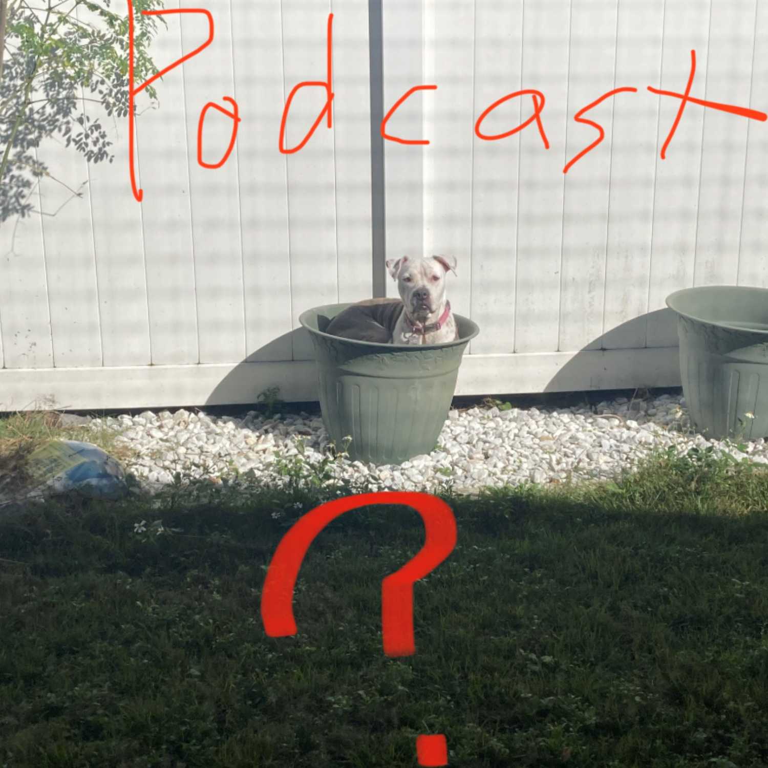 Welcome to Incoherent Sentence Structures!