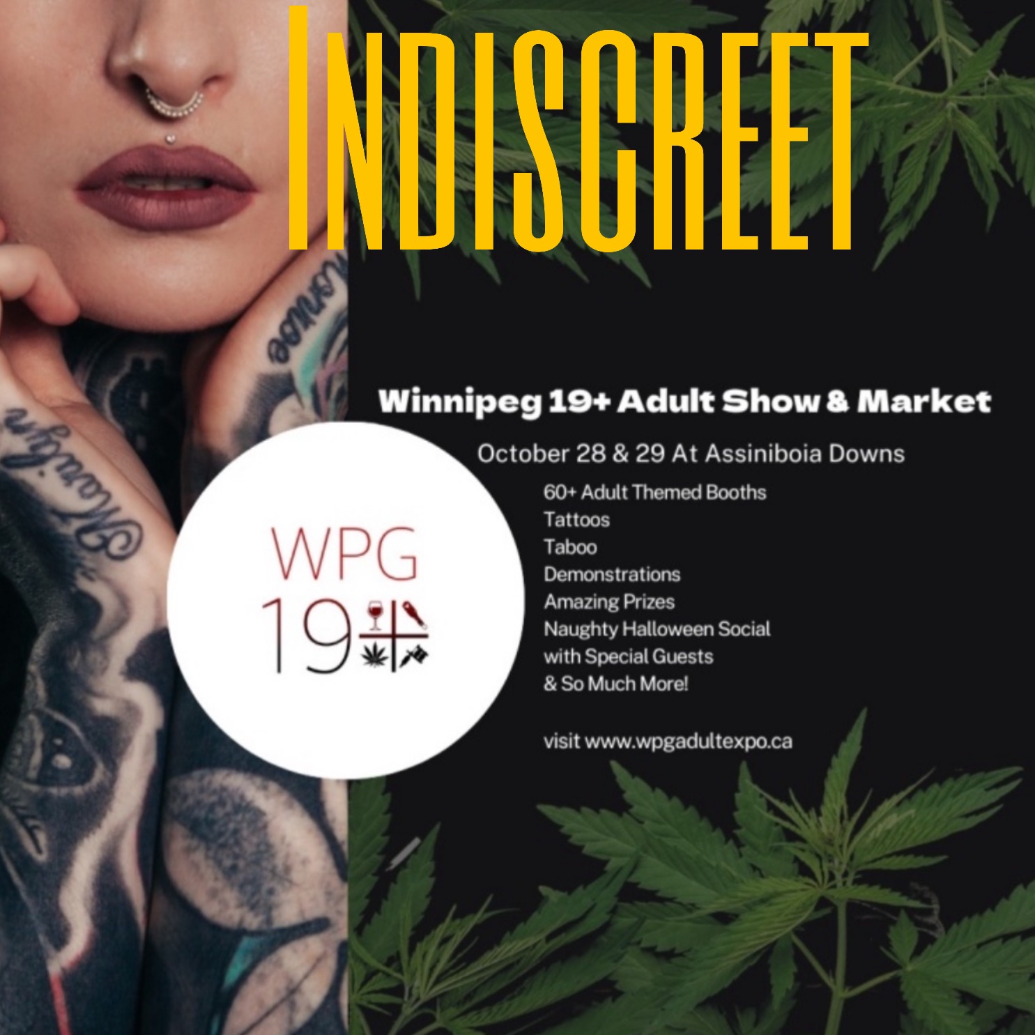 Indiscreet Ep 03: Adult Expo episode artwork