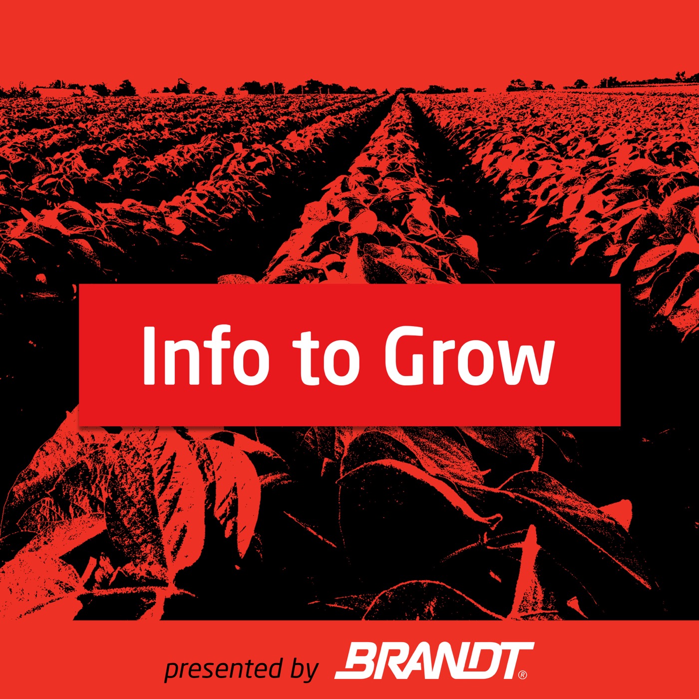 Info to Grow
