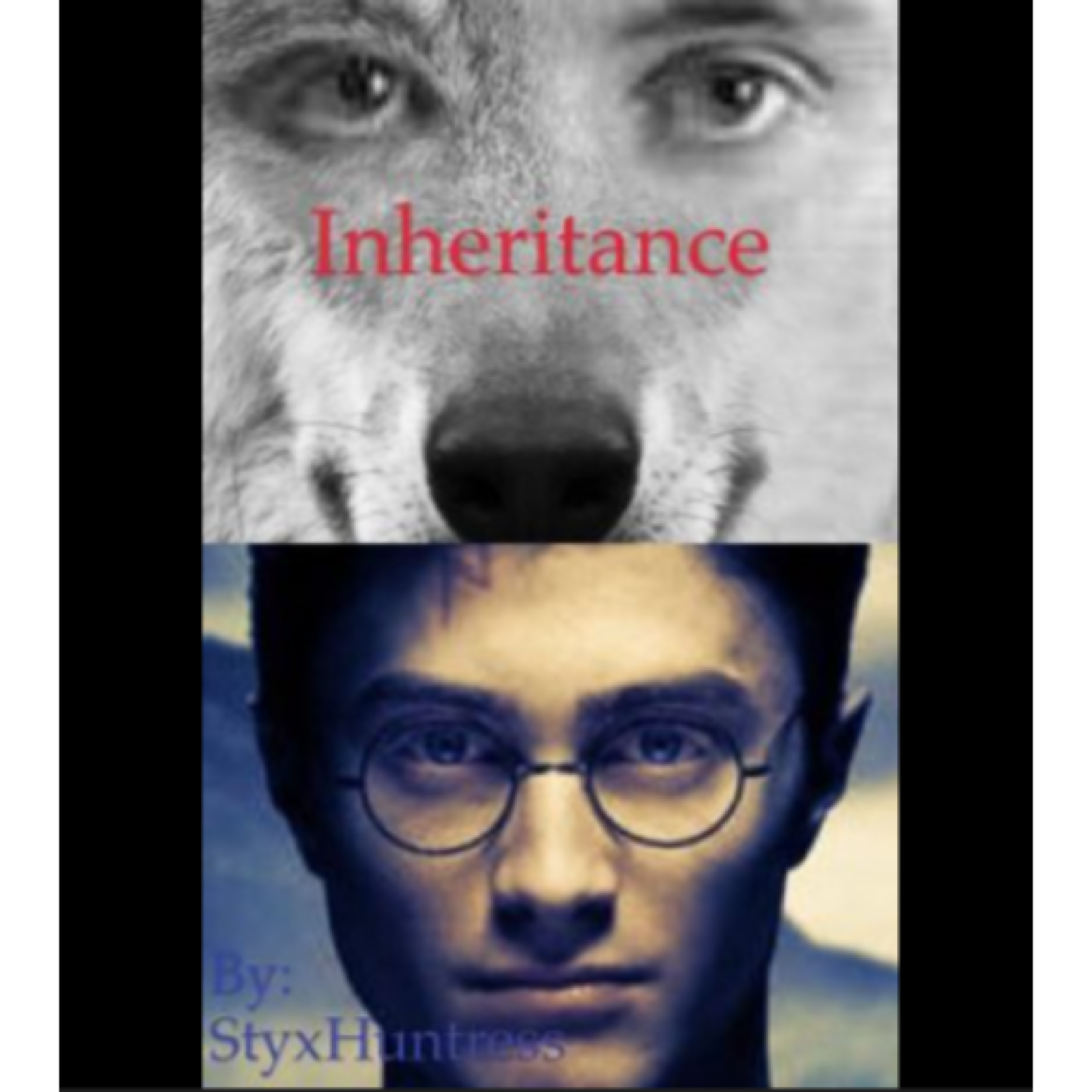 Inheritance (Drarry fanfic) cover art