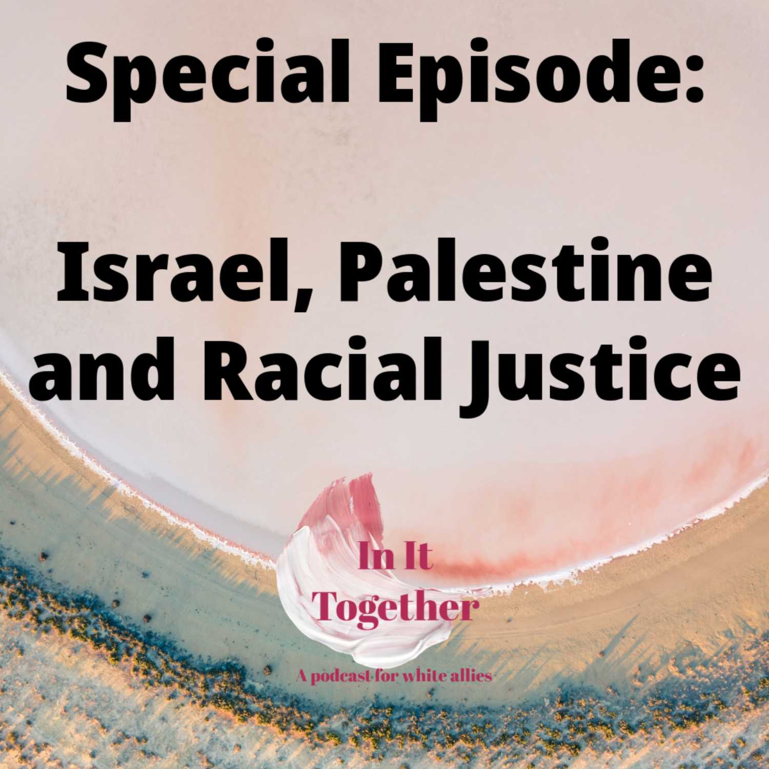 Special Episode: Israel, Palestine and Racial Justice Special Episode: Israel, Palestine and Racial Justice