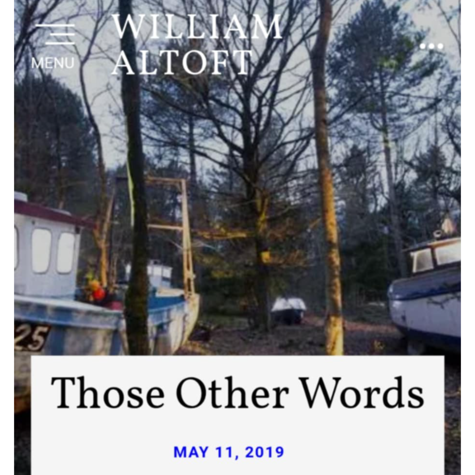 Poem #31 - Those Other Words