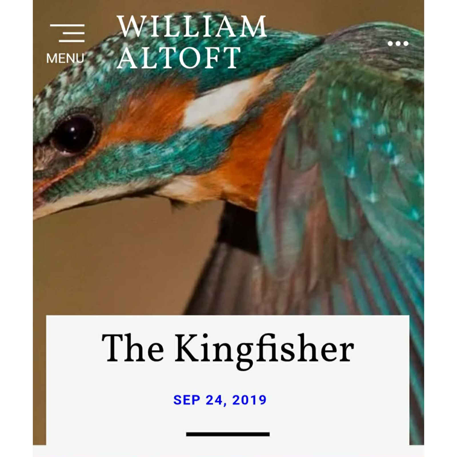 Poem #91 -  The Kingfisher episode artwork