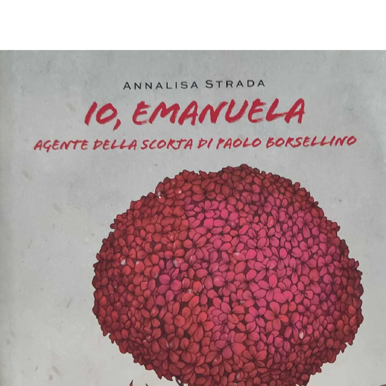 In libreria con Null