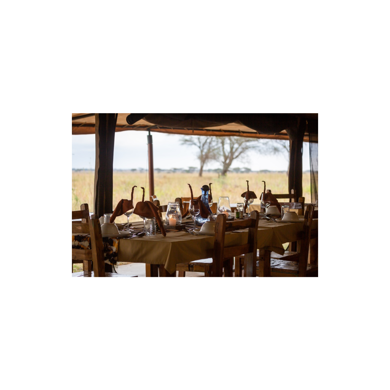 Inside the Serengeti