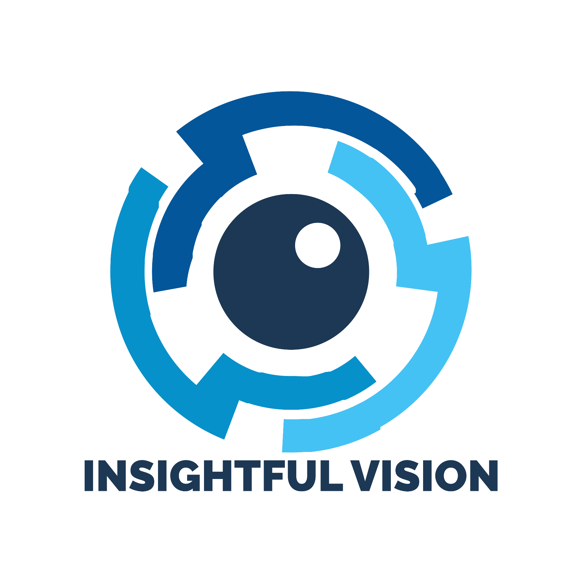 Insightful vision