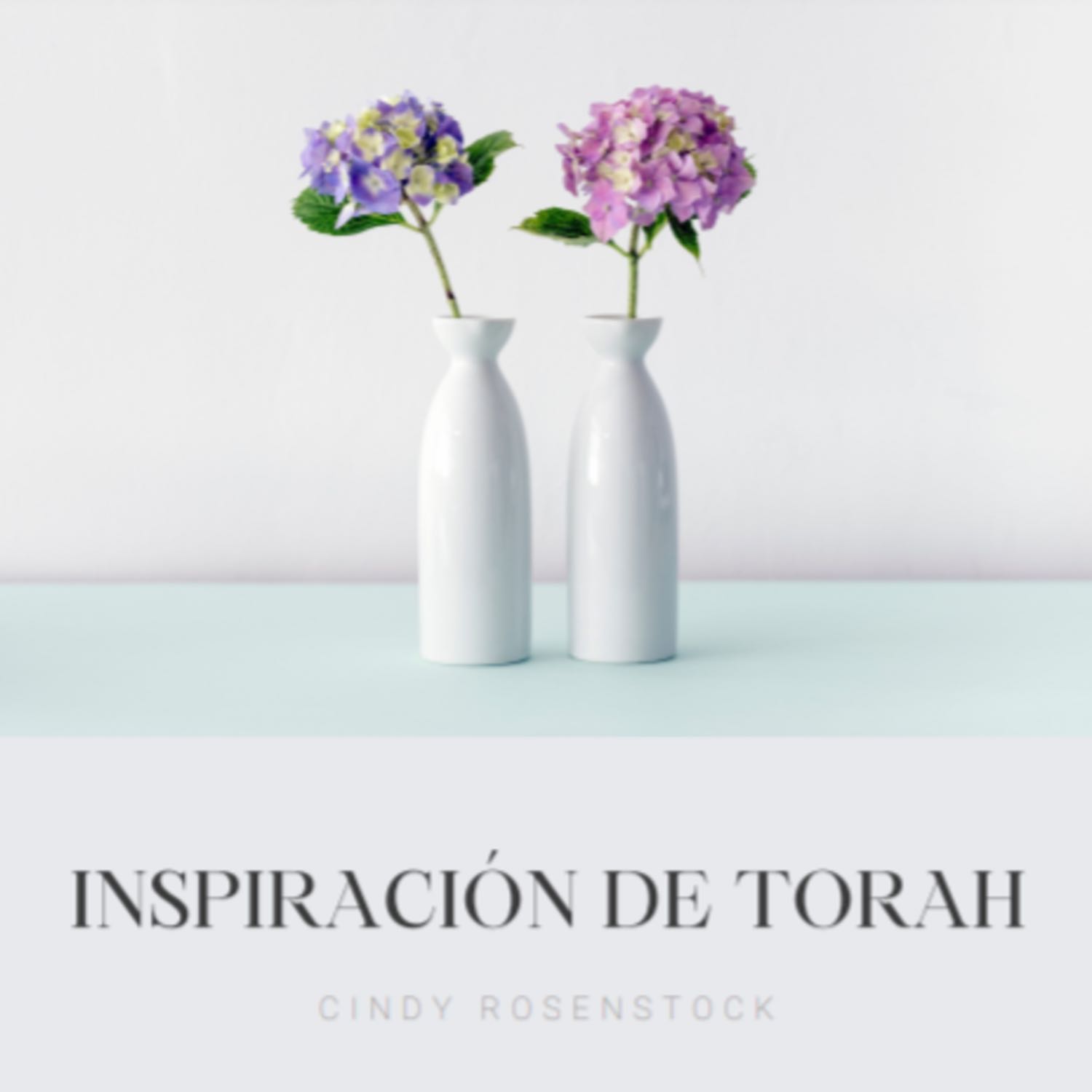 Inspiracion de Torah