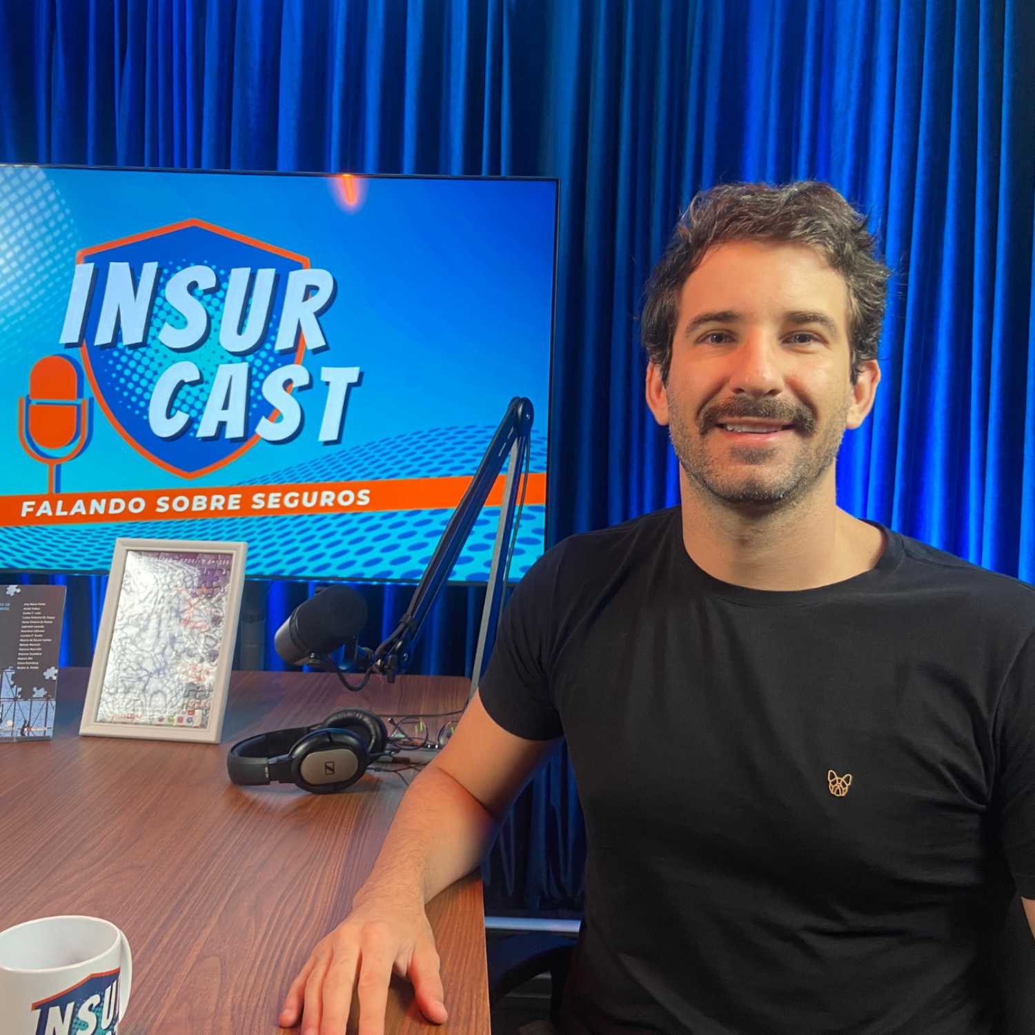 InsurCast