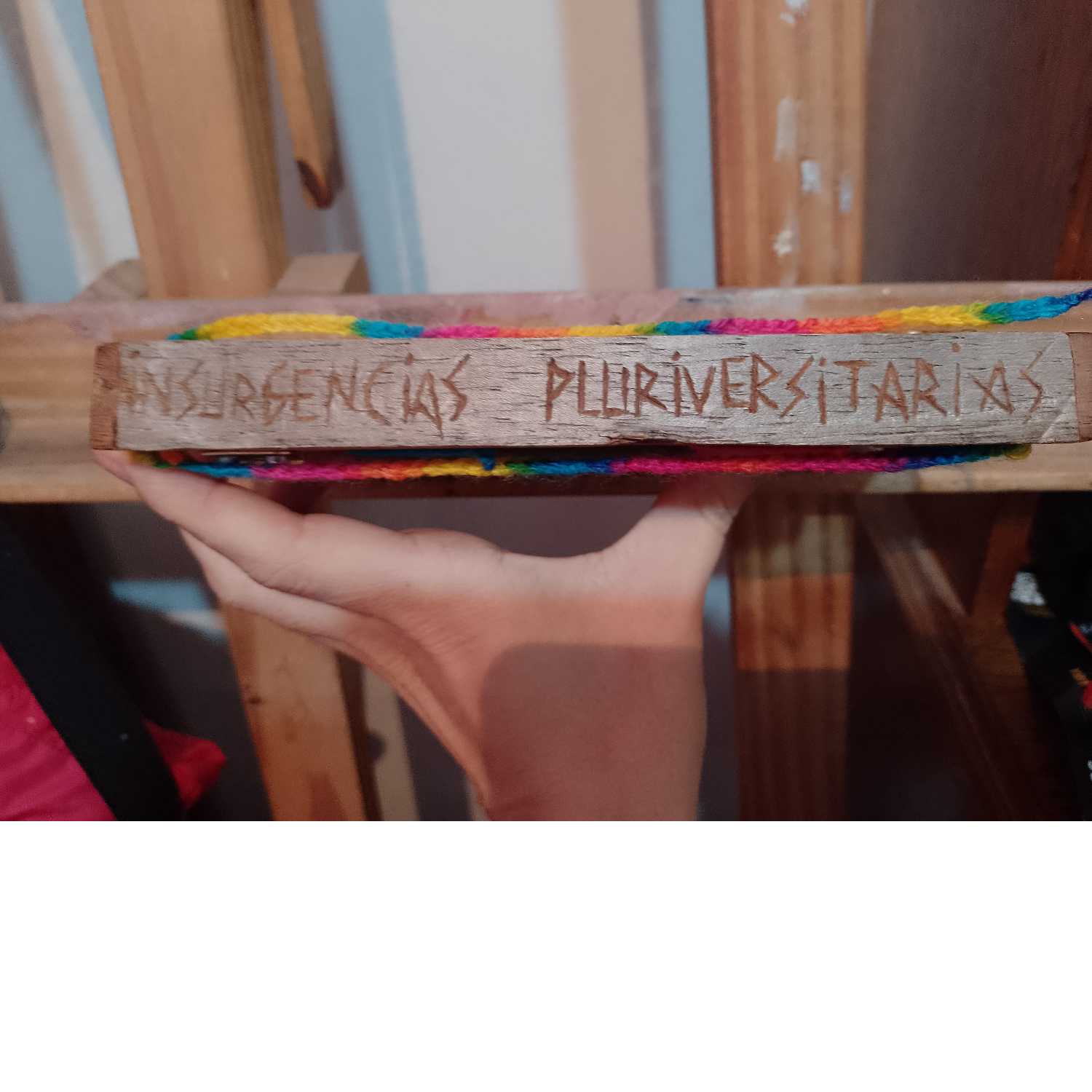 Insurgencias pluriversitarias