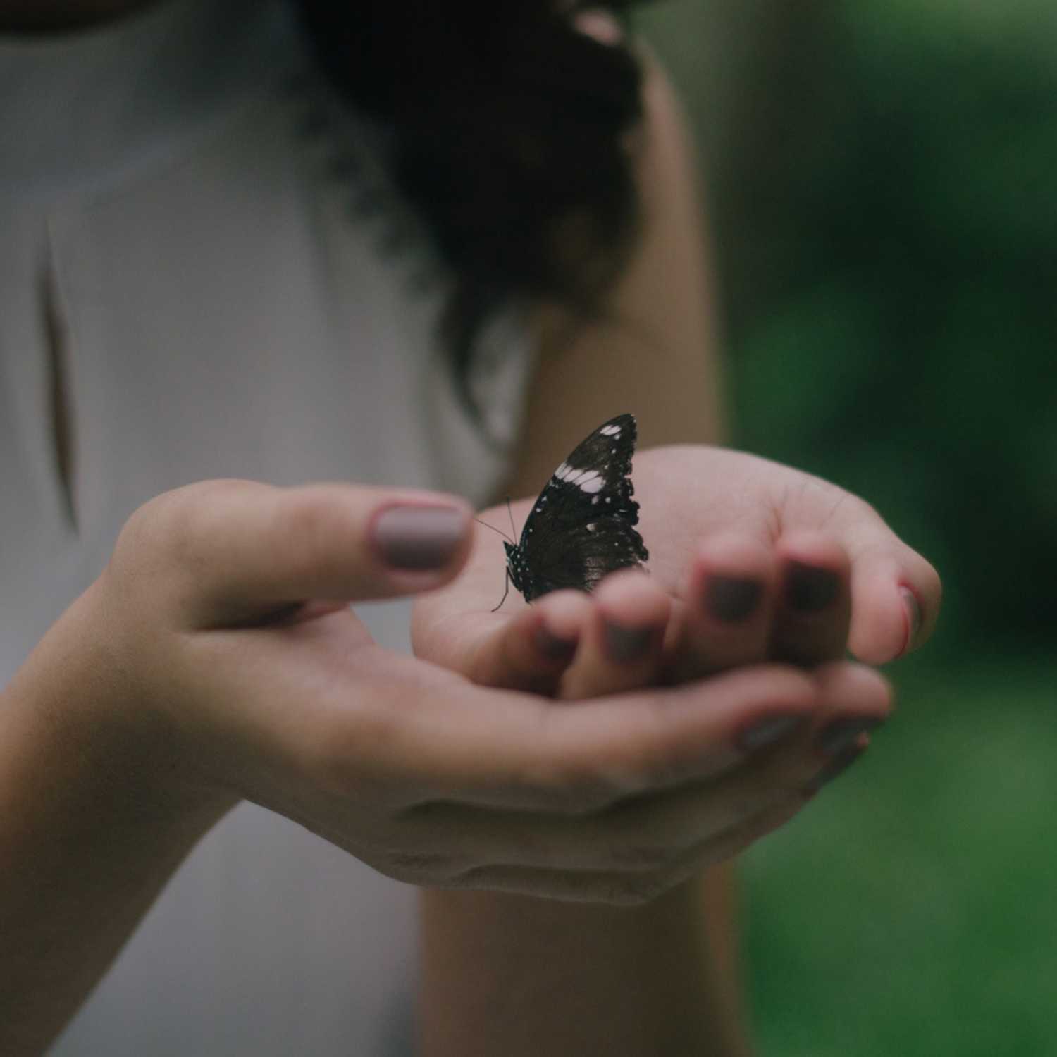 Integral Teaching Podcast Episode 7: Letting Go and Letting Come