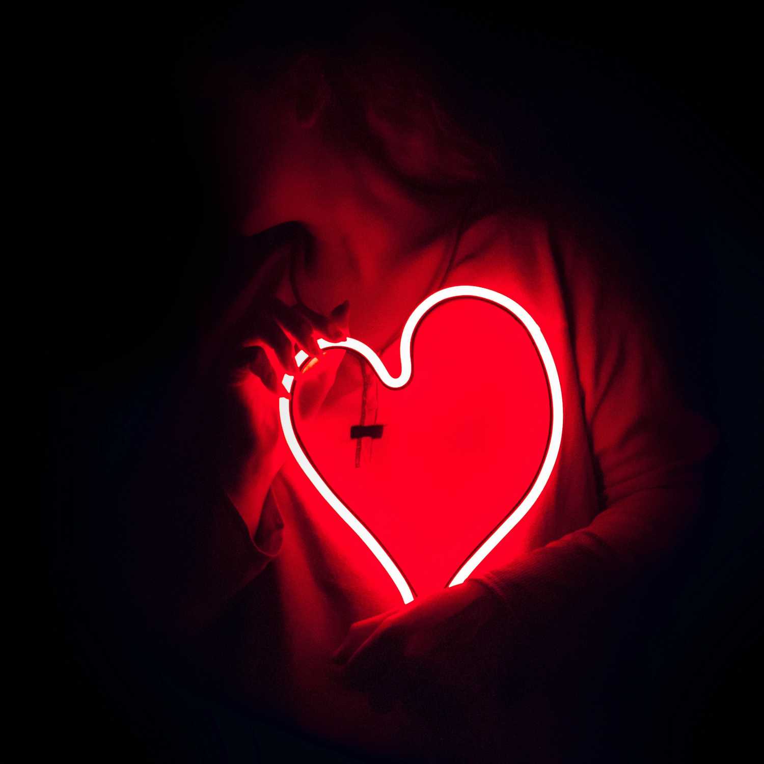 Integral Teaching Podcast Episode 9: The Tin Man and the Human Heart - Teaching into our Digital Age Part 1