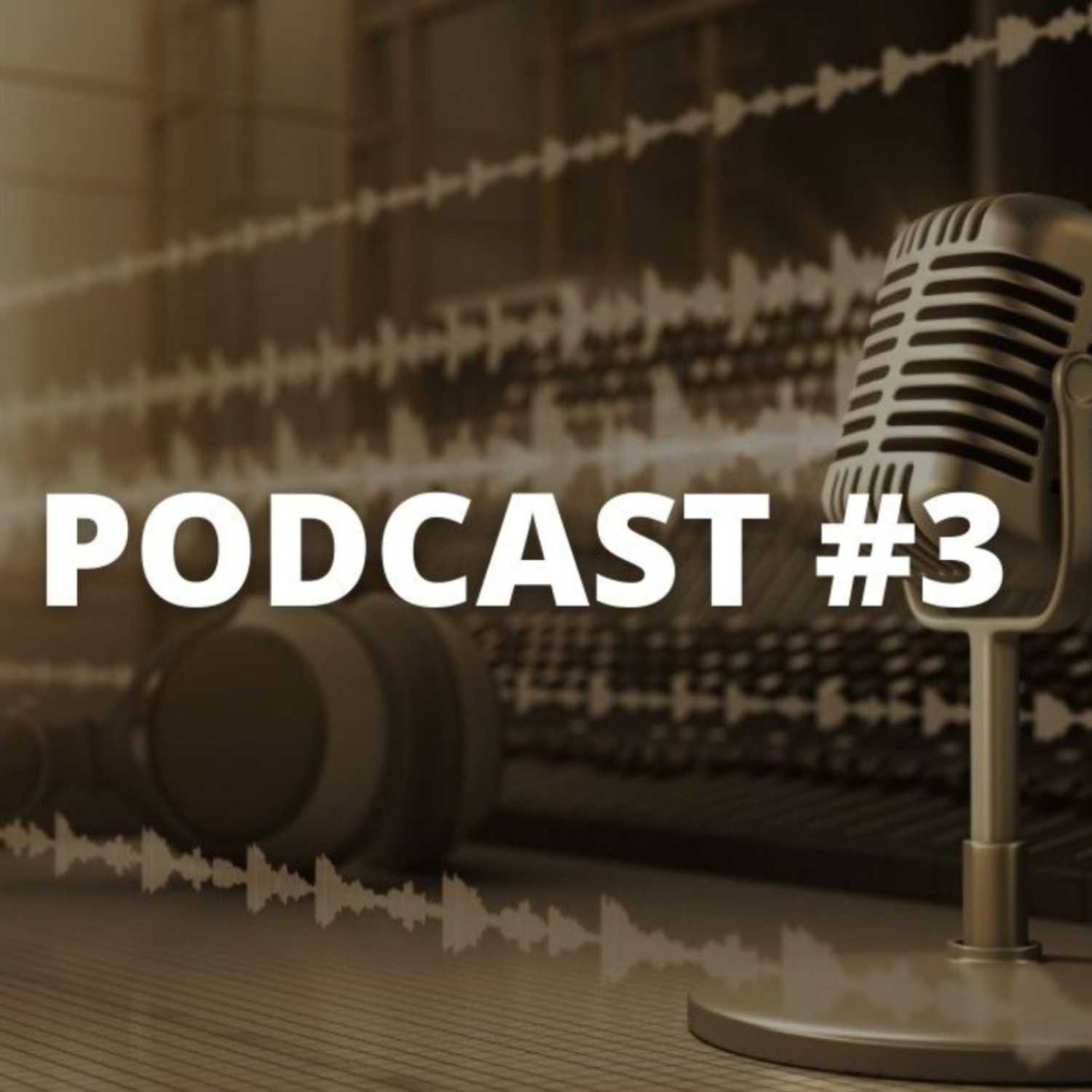INTERNOS PODCAST #3/ KÜLAS ON ELSBET HELENA TIITUS episode artwork