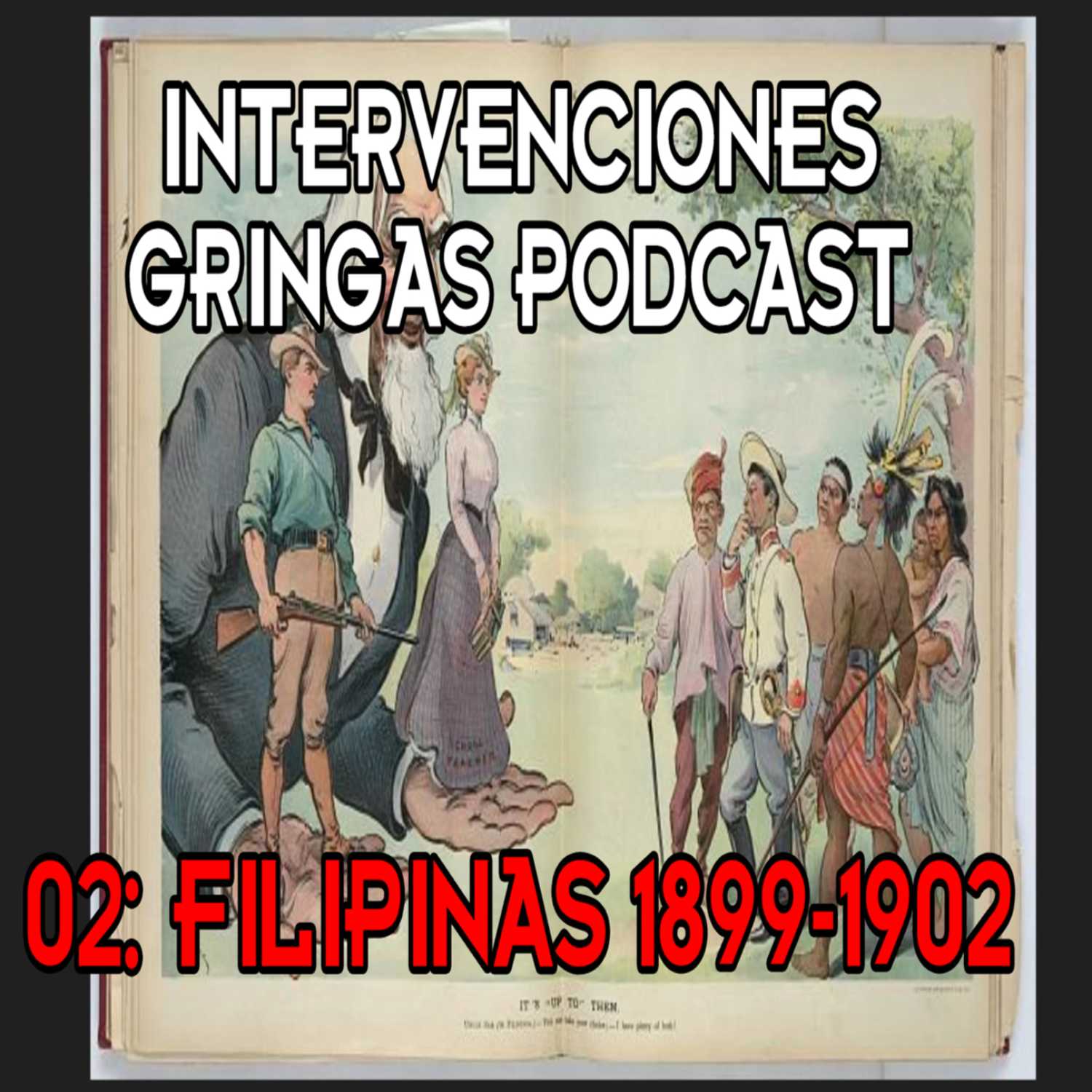 Intervenciones Gringas