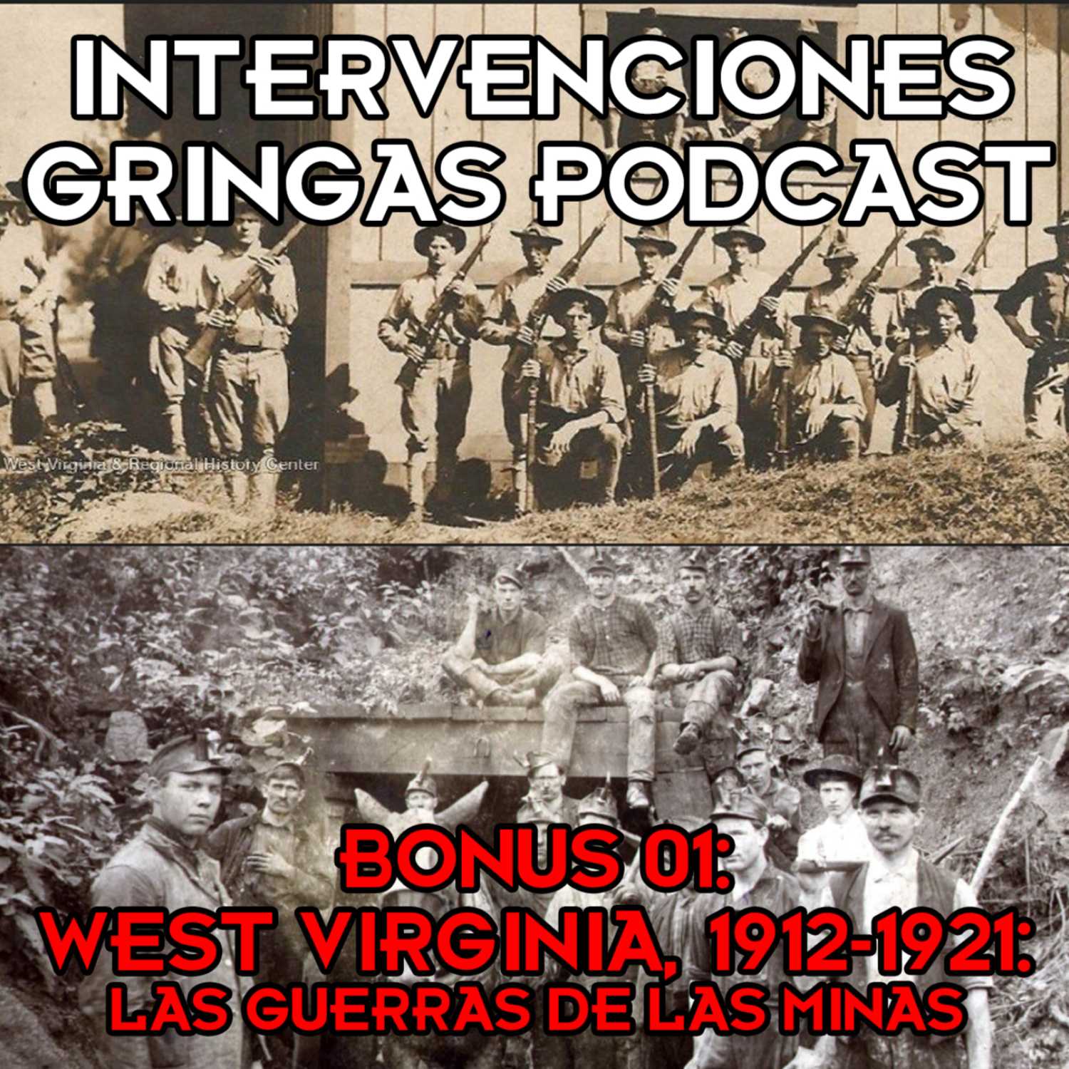 Intervenciones Gringas