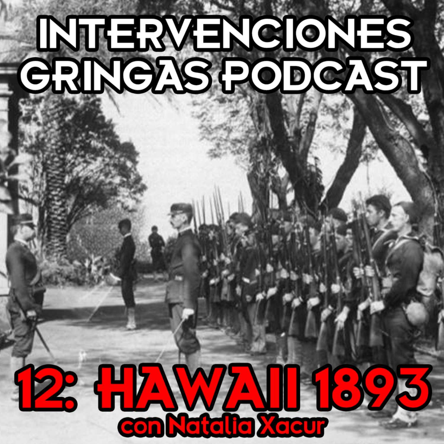 Intervenciones Gringas