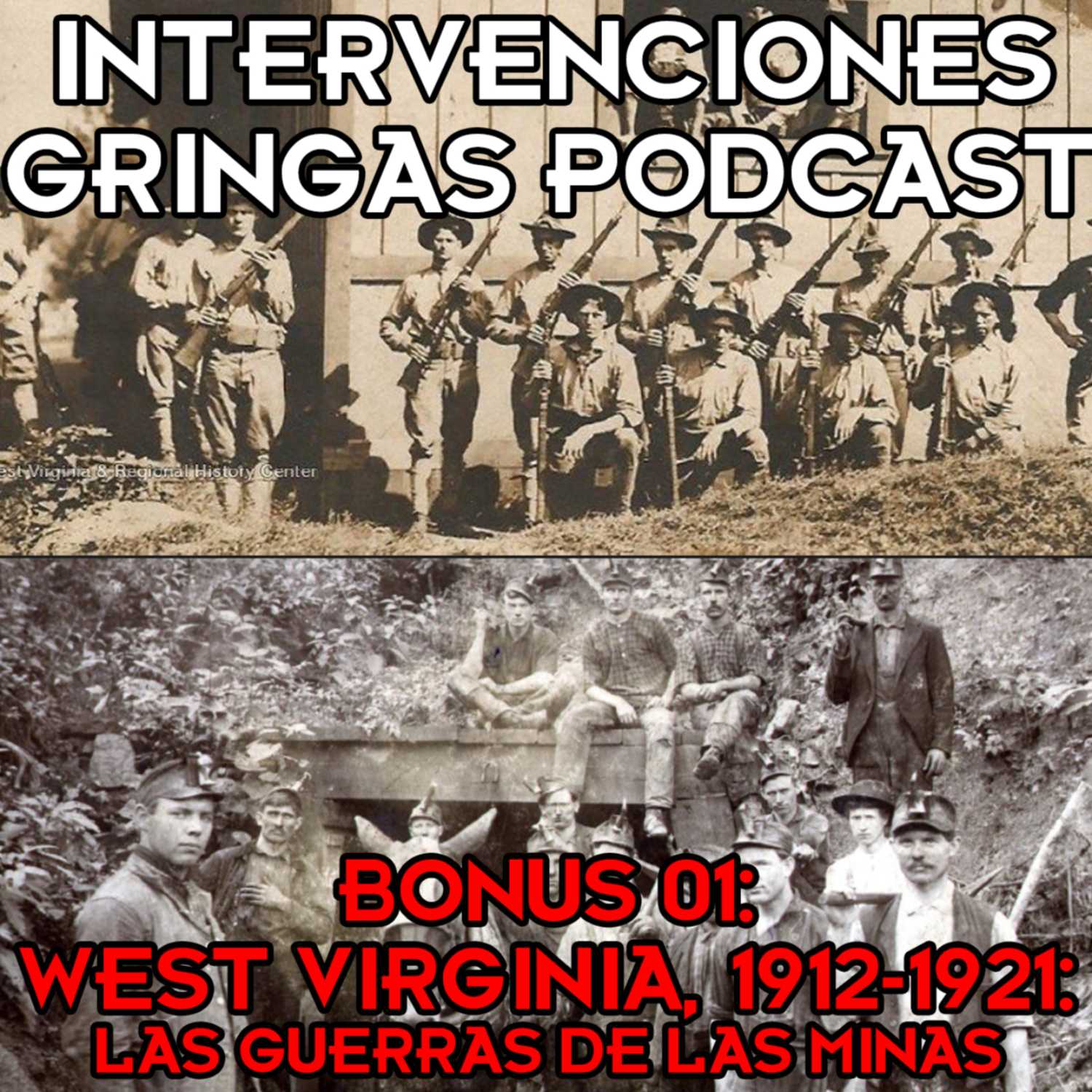 Intervenciones Gringas
