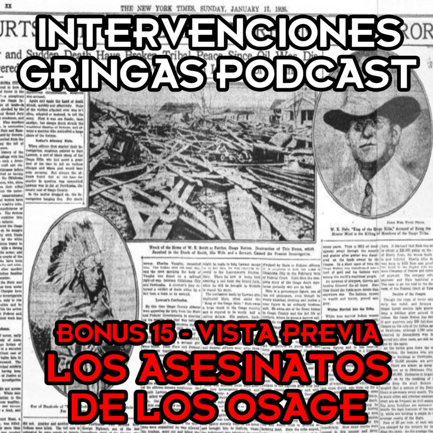 Intervenciones Gringas