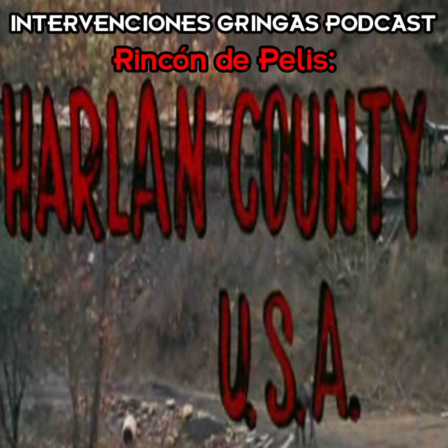 Intervenciones Gringas