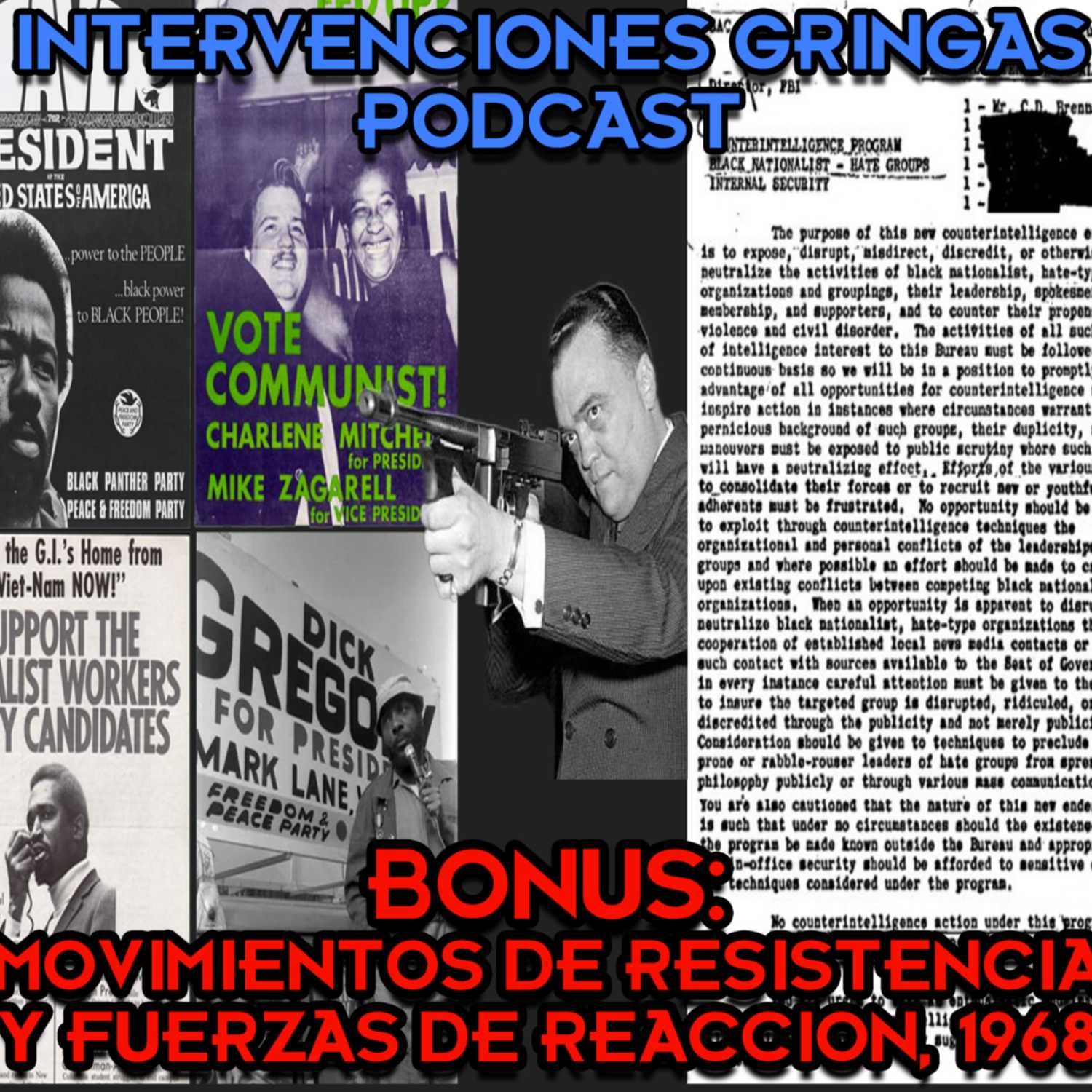 Intervenciones Gringas