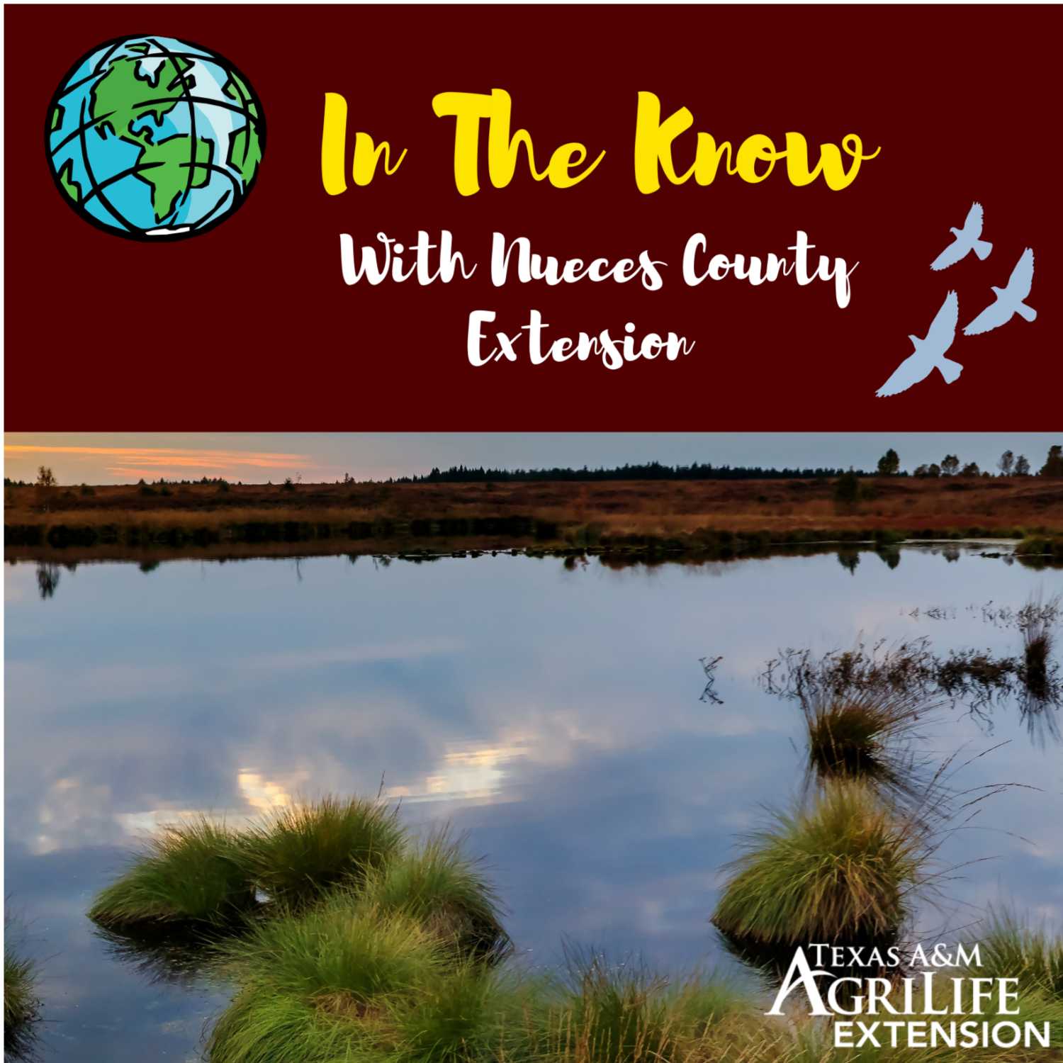 In The Know with Nueces County Extension